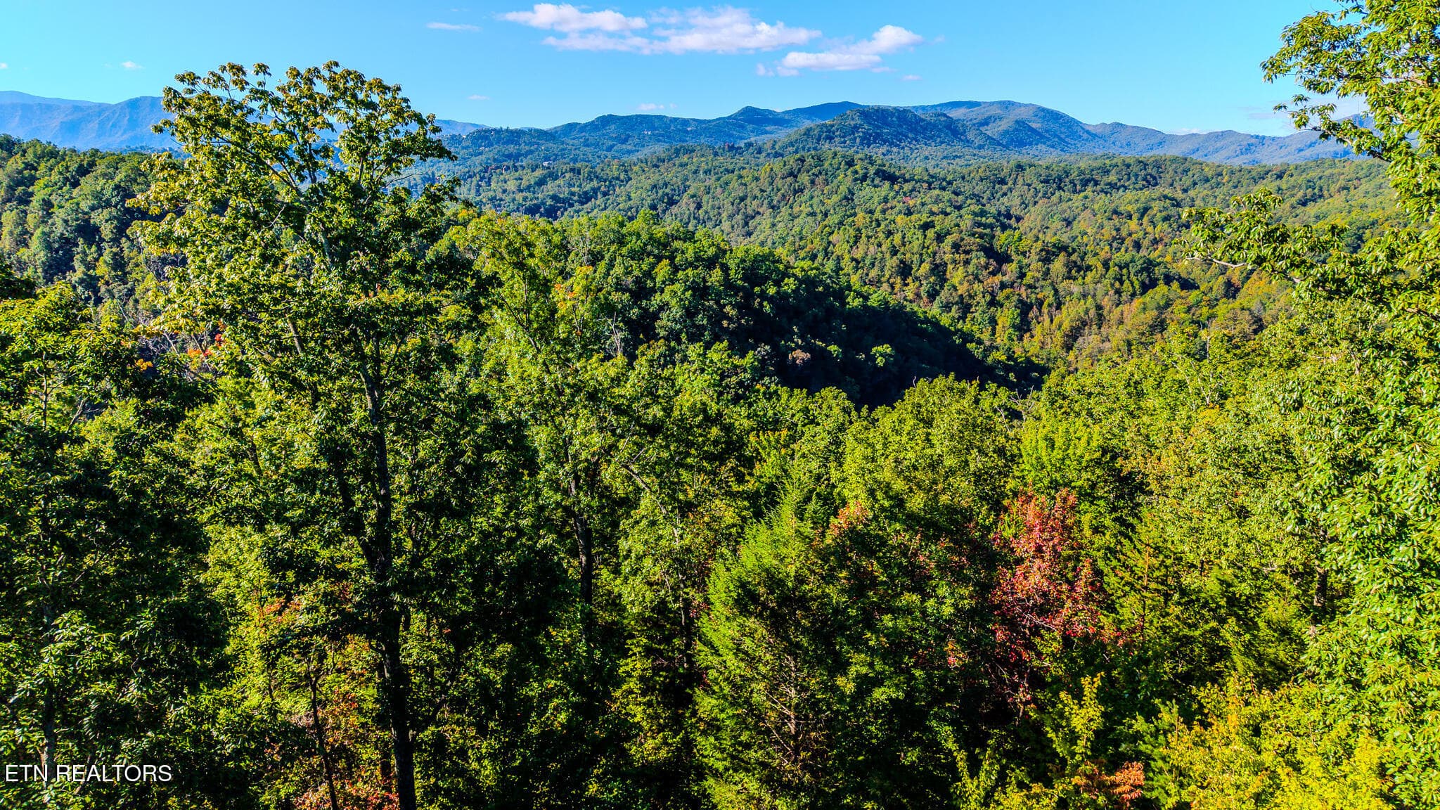 13-print-429-king-branch-rd - 429 King Branch Rd, Sevierville, TN 37876, Sevierville