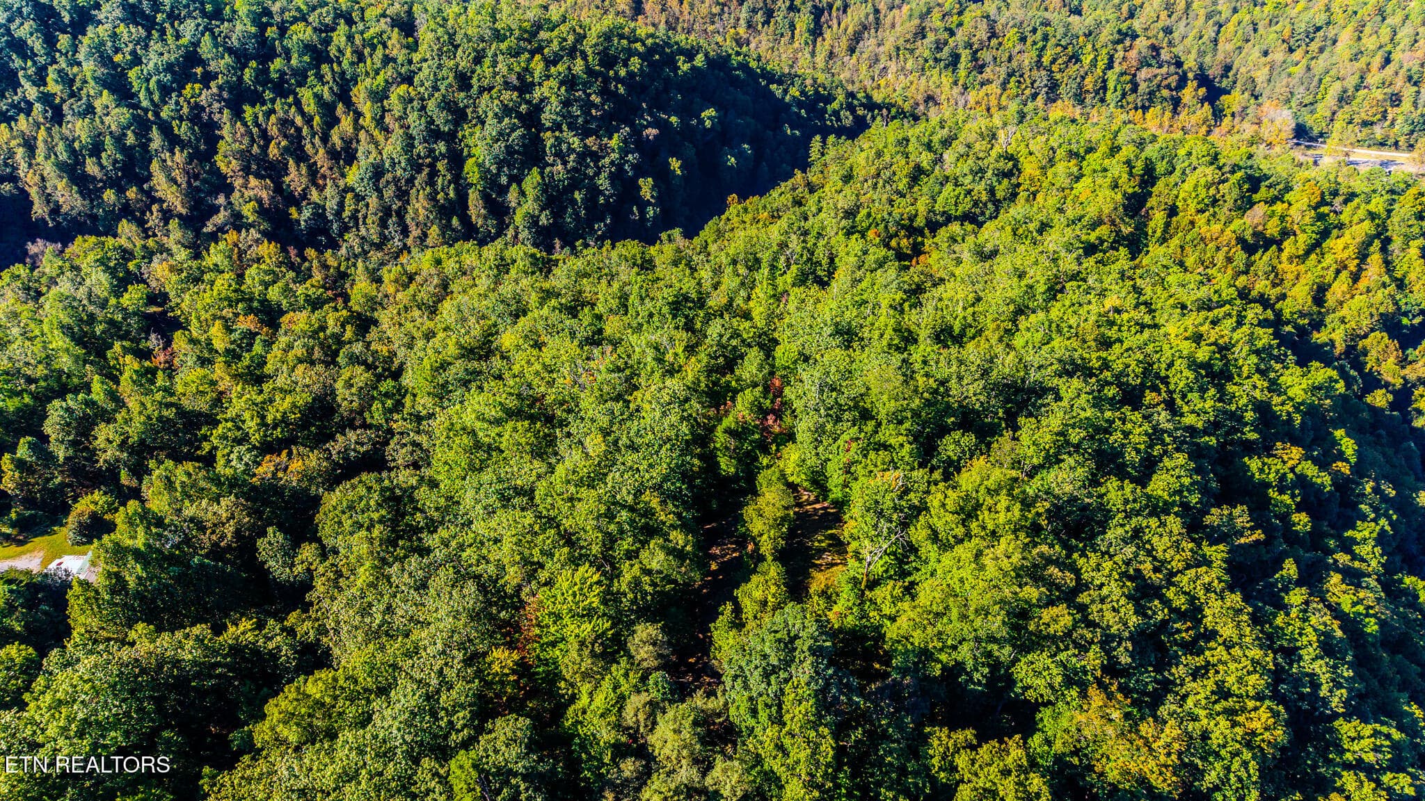 2-print-429-king-branch-rd - 429 King Branch Rd, Sevierville, TN 37876, Sevierville