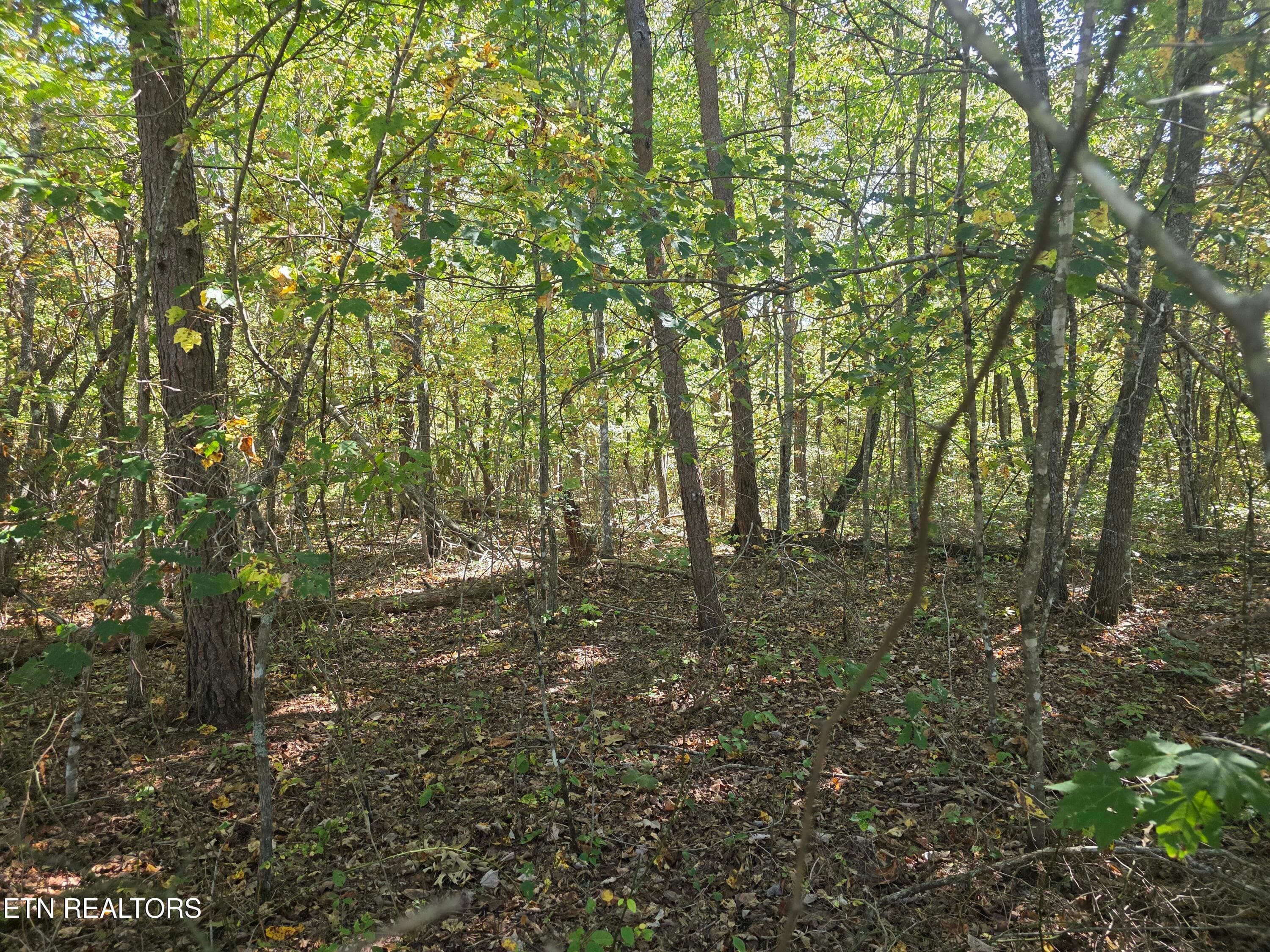 L7 Cumberland Lakes Drive, Monterey, TN 38574