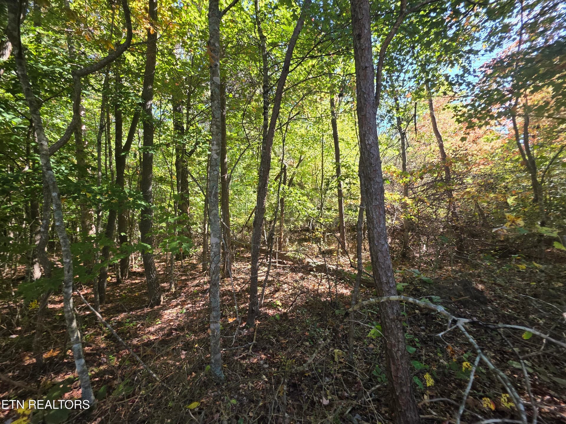 1000031483 - L6 Cumberland Lakes Drive, Monterey, TN 38574