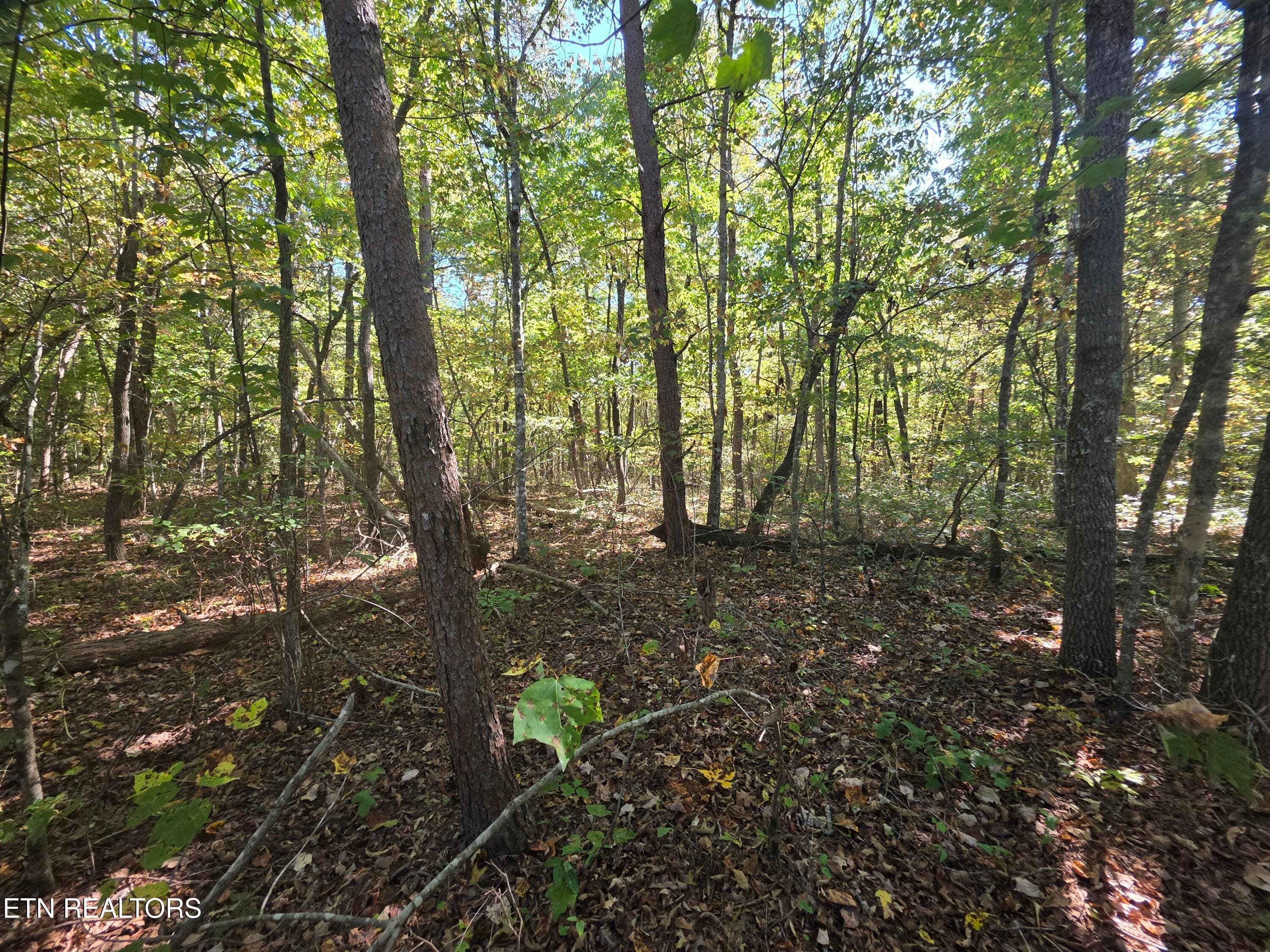L6 Cumberland Lakes Drive, Monterey, TN 38574