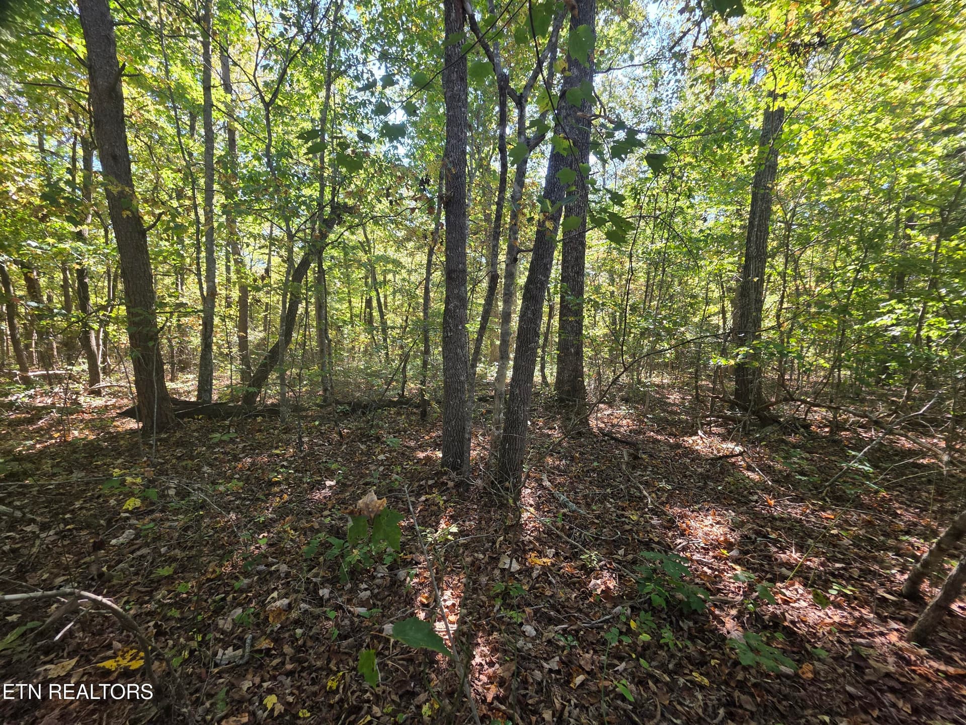 1000031480 - L6 Cumberland Lakes Drive, Monterey, TN 38574