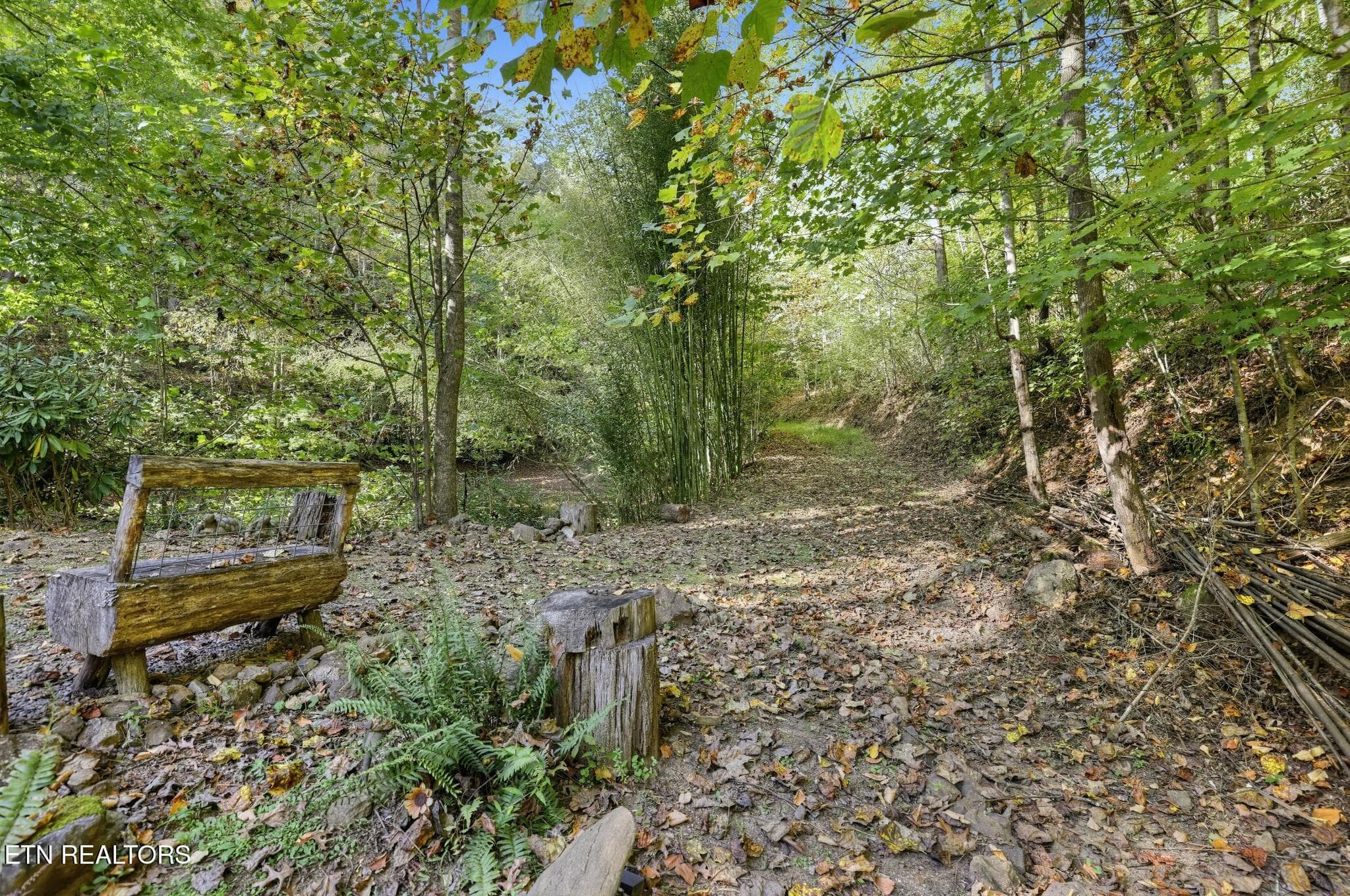 42_100_Gate_Hollow_Private_Rd-Others-933 - 100 Gate Hollow Private Rd, Mountain City, TN 37683, Mountain City
