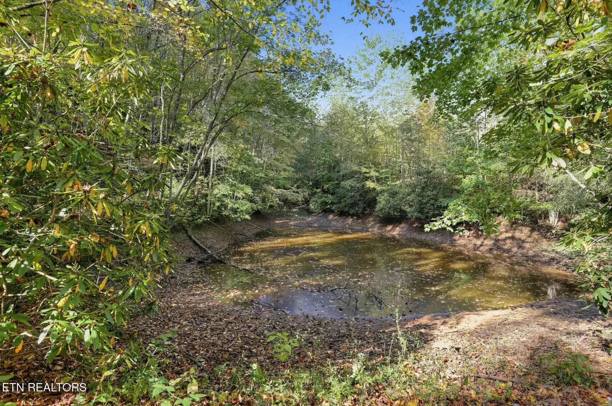 43_100_Gate_Hollow_Private_Rd-Others-933 - 100 Gate Hollow Private Rd, Mountain City, TN 37683, Mountain City