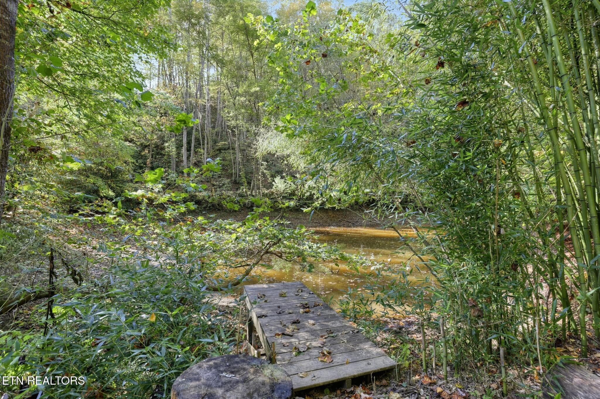 44_100_Gate_Hollow_Private_Rd-Others-933 - 100 Gate Hollow Private Rd, Mountain City, TN 37683, Mountain City
