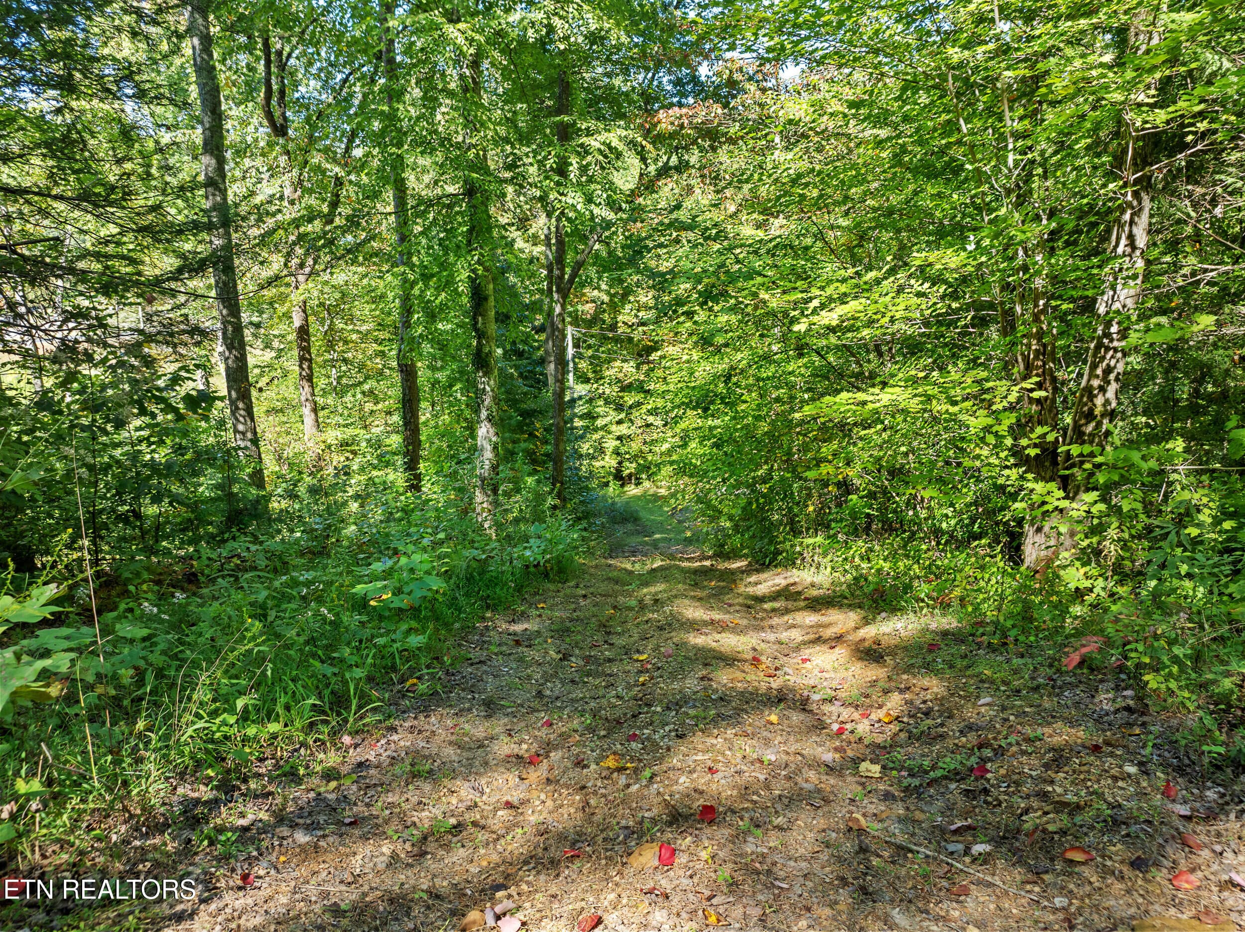 2422 breezy ridge dr-49 - 3748 Ginseng Way, Sevierville, TN 37862, Sevierville