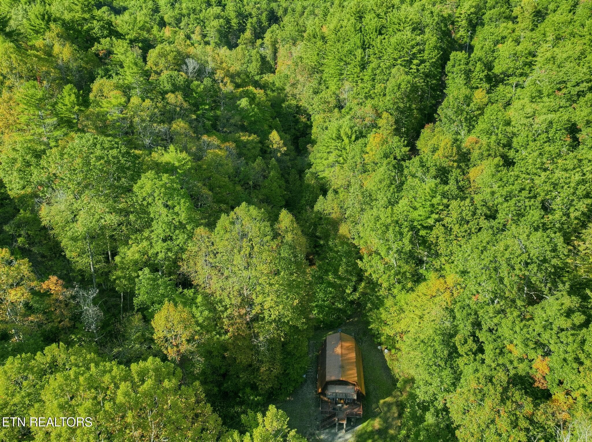 10_100_Gate_Hollow_Private_Rd-Exterior-0 - 100 Gate Hollow Private Rd, Mountain City, TN 37683, Mountain City