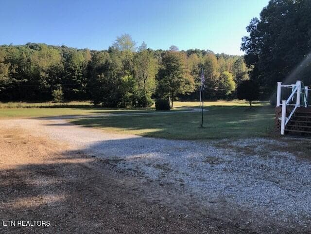 front yard and pond - 198 Crabtree Hollow Rd, Ten Mile, TN 37880