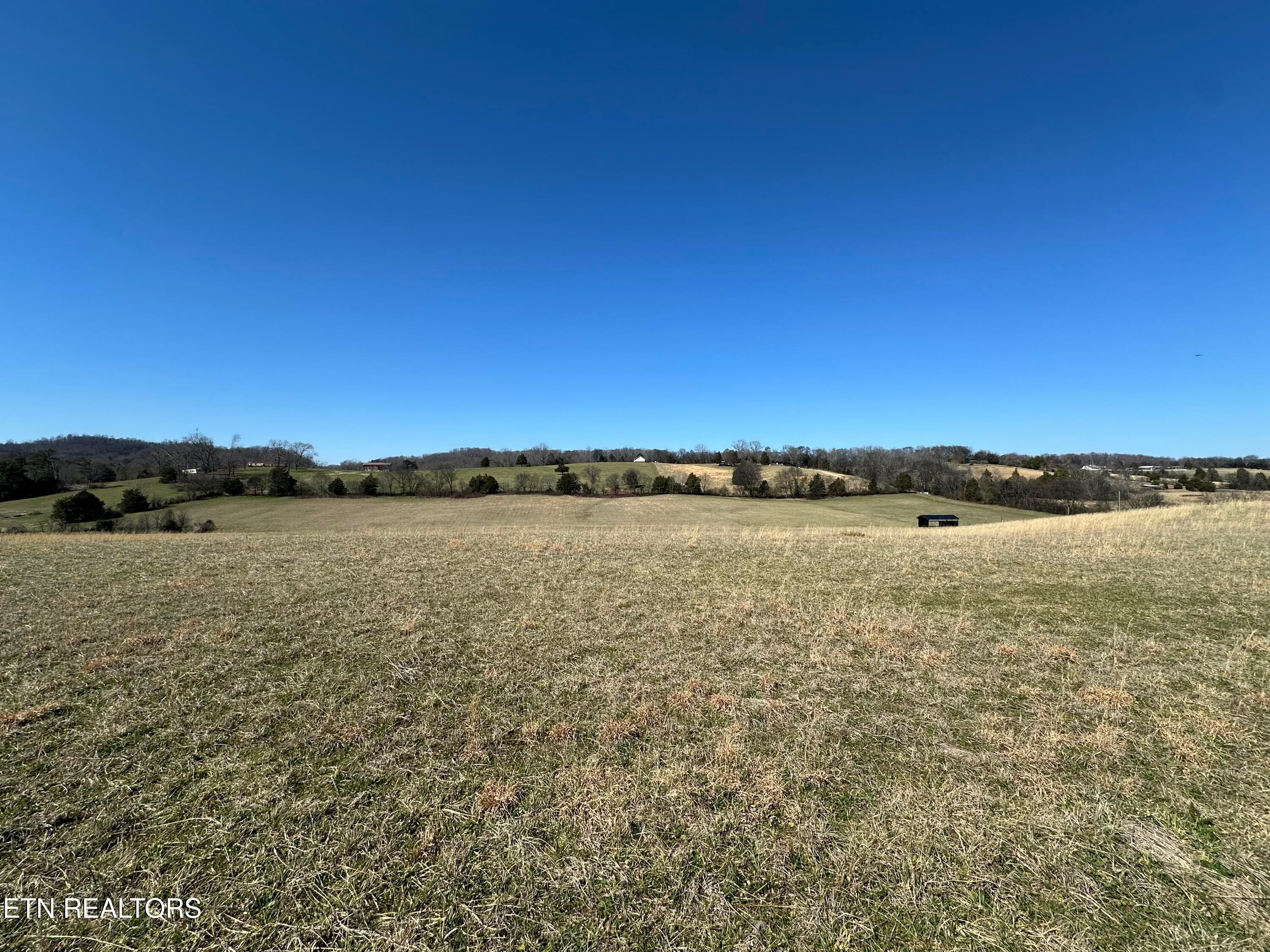IMG_8913 - 271 Thompson Rd, Madisonville, TN 37354, Madisonville