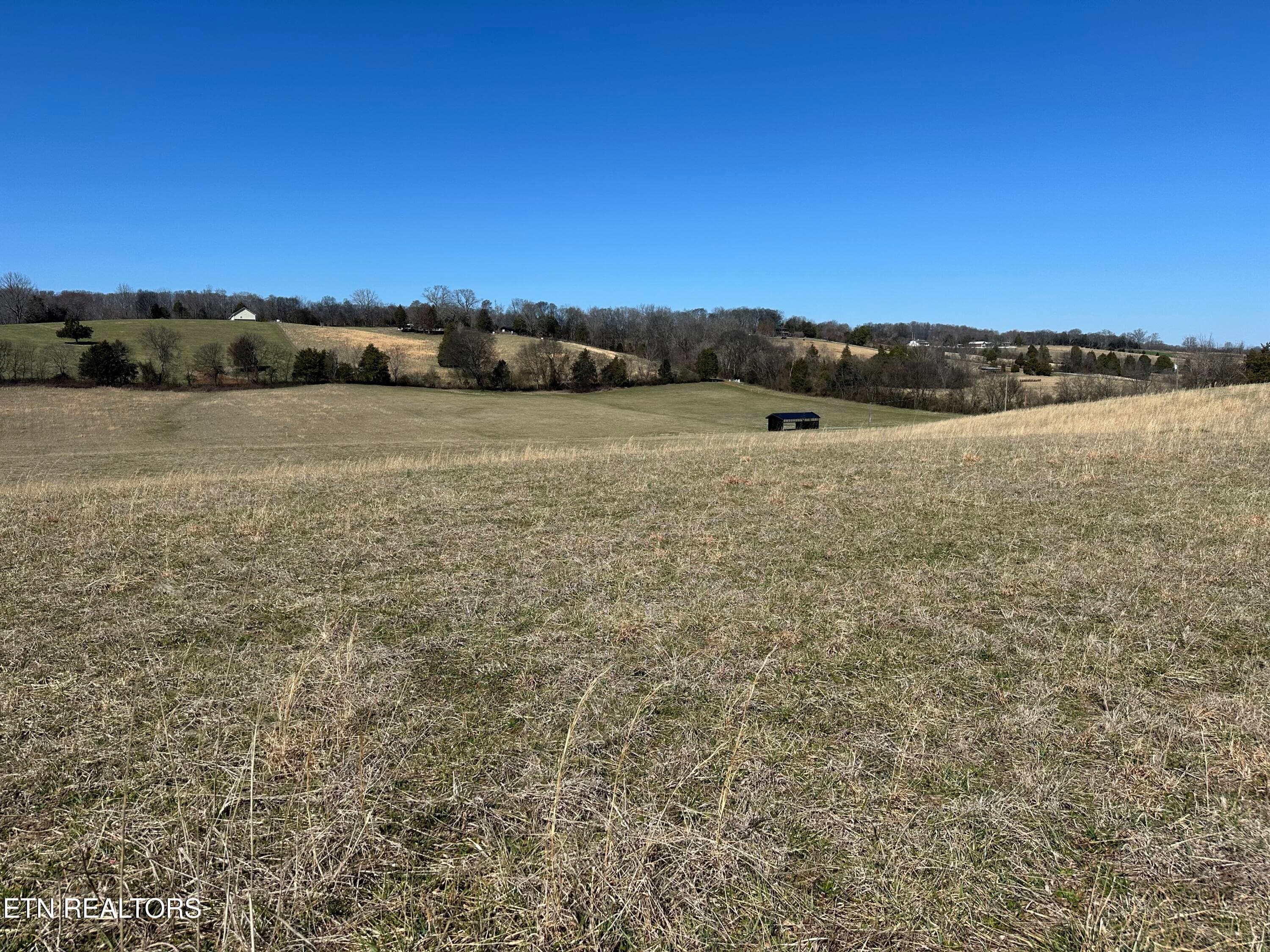 IMG_8912 - 271 Thompson Rd, Madisonville, TN 37354, Madisonville