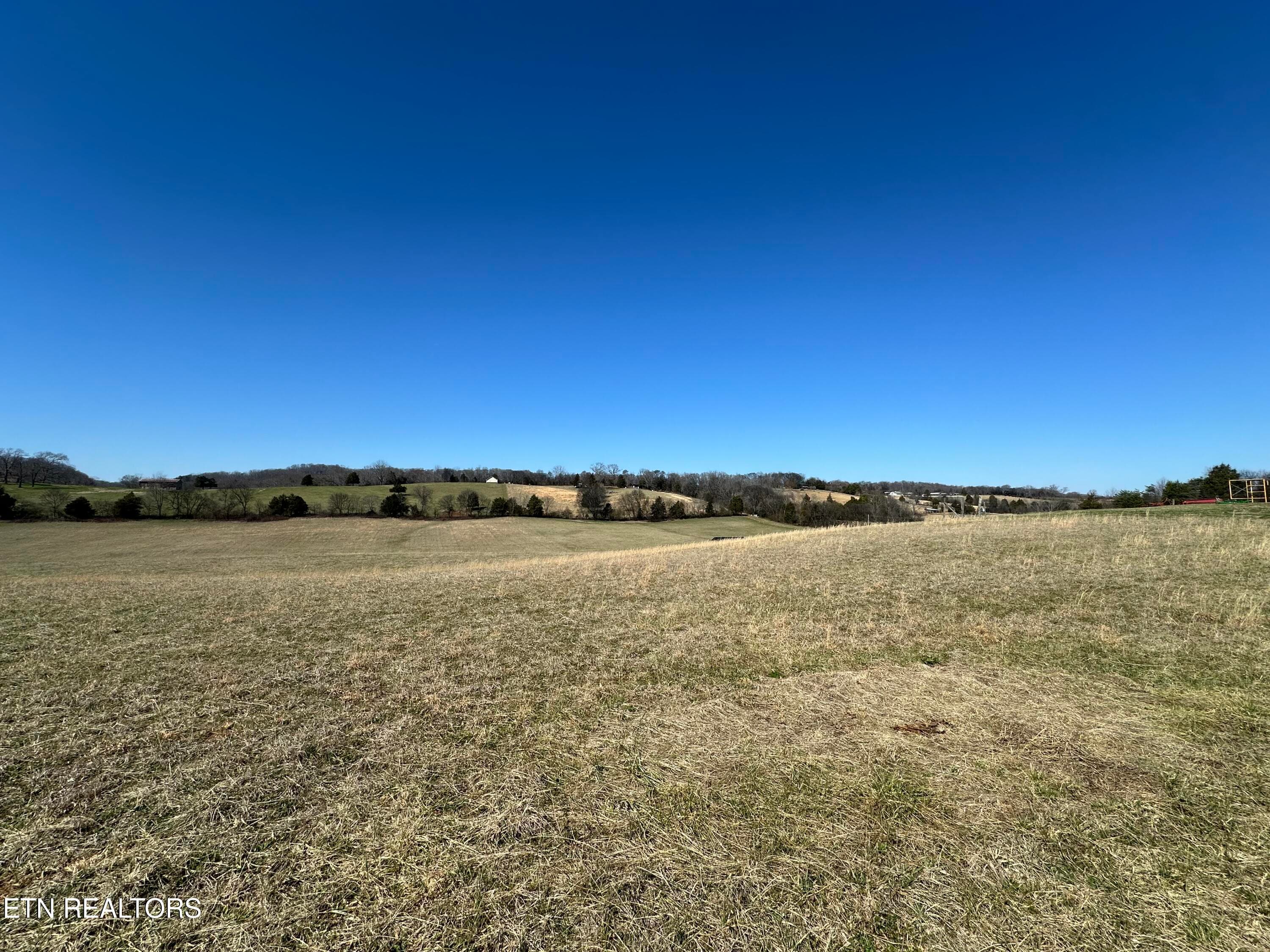IMG_8915 - 271 Thompson Rd, Madisonville, TN 37354, Madisonville