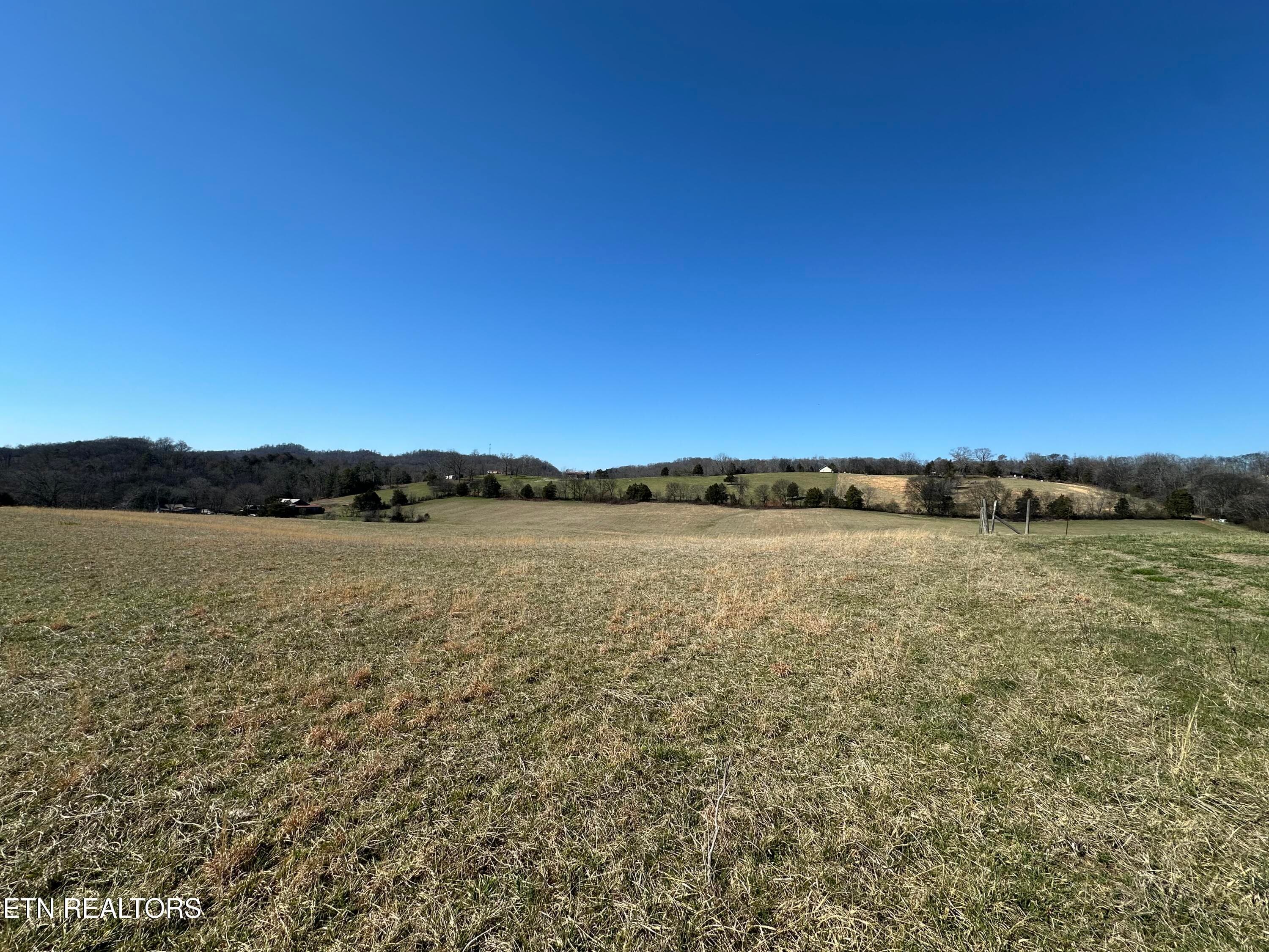 IMG_8916 - 271 Thompson Rd, Madisonville, TN 37354, Madisonville