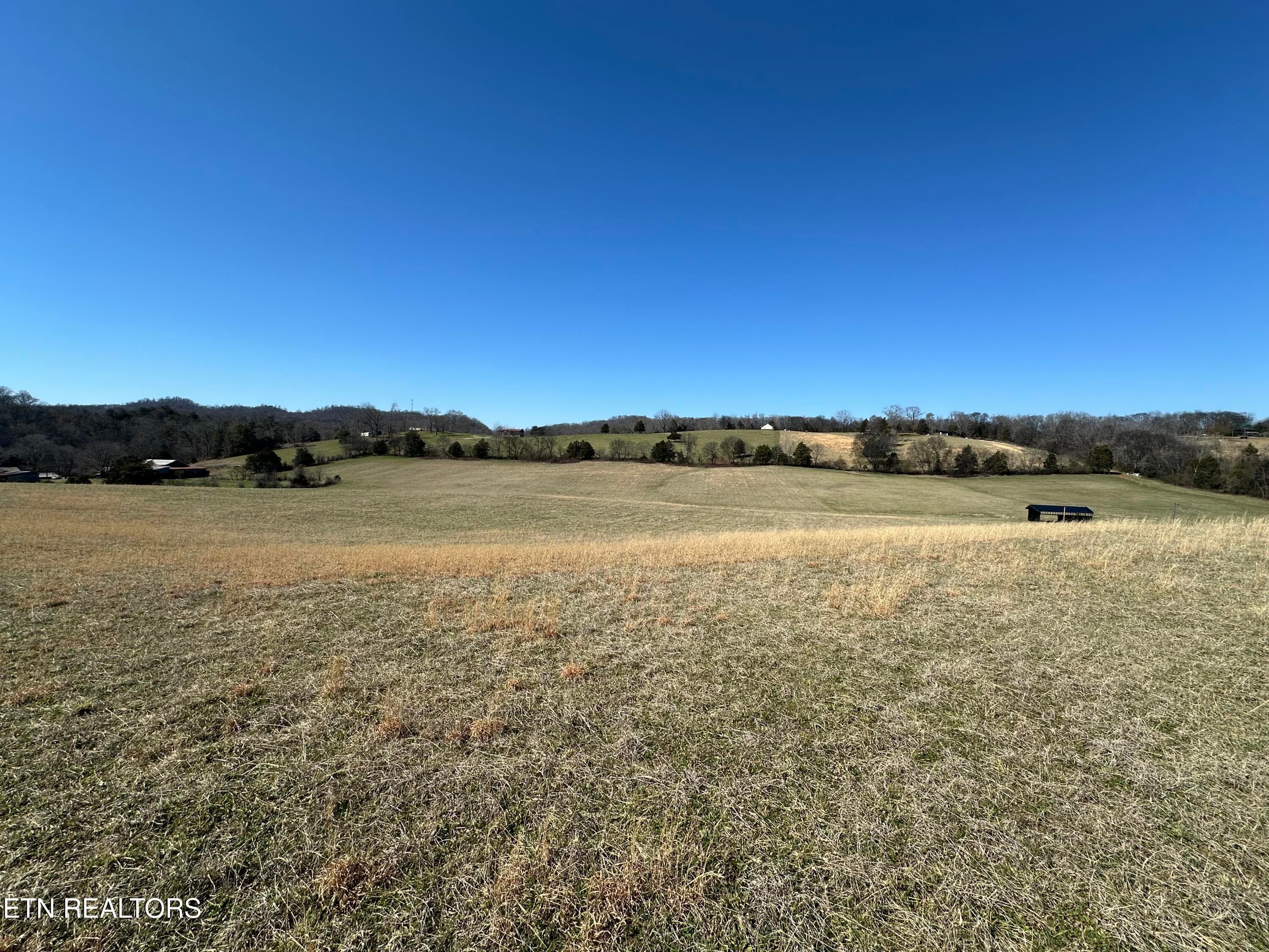 IMG_8918 - 271 Thompson Rd, Madisonville, TN 37354, Madisonville