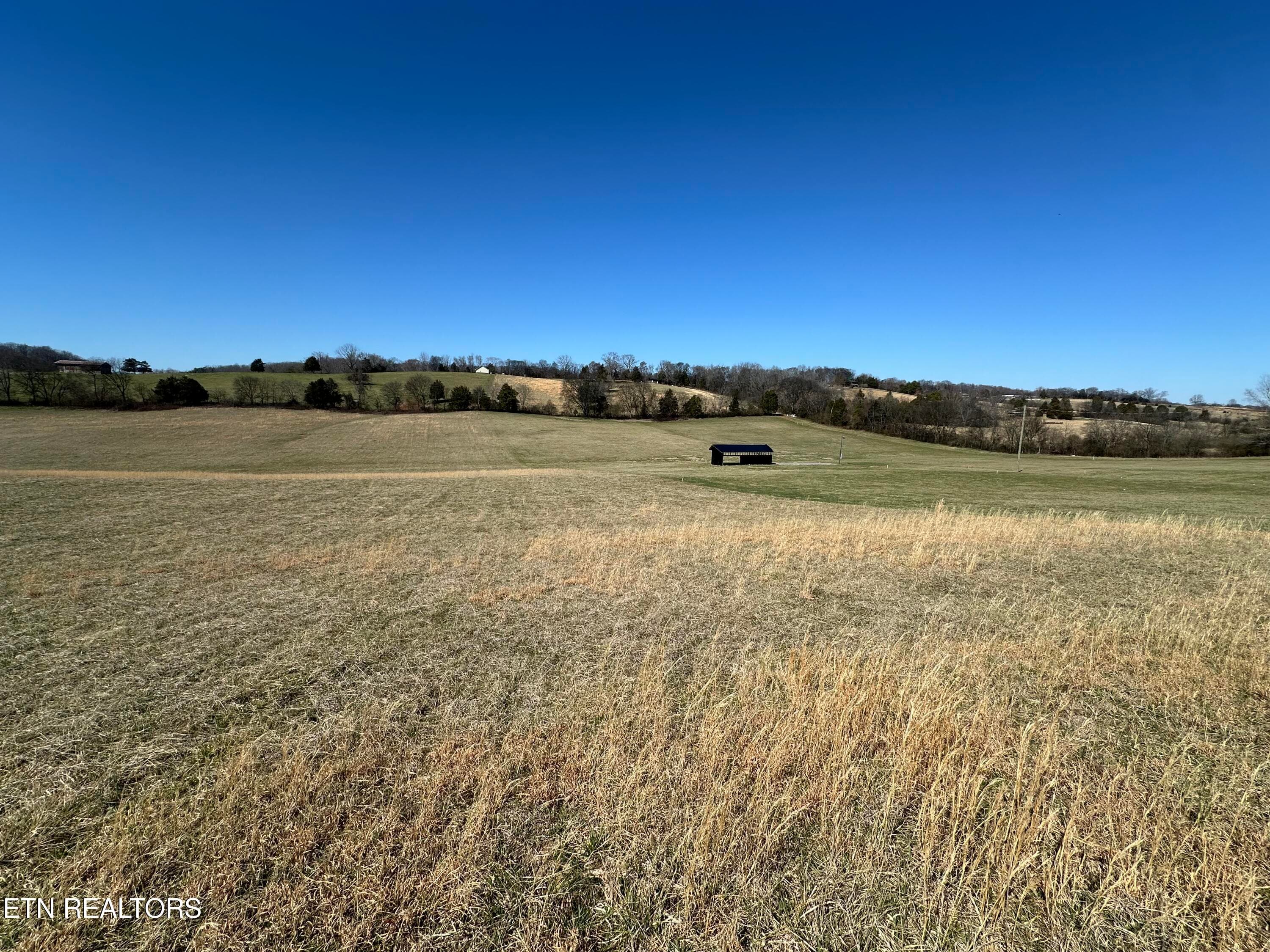 IMG_8921 - 271 Thompson Rd, Madisonville, TN 37354, Madisonville