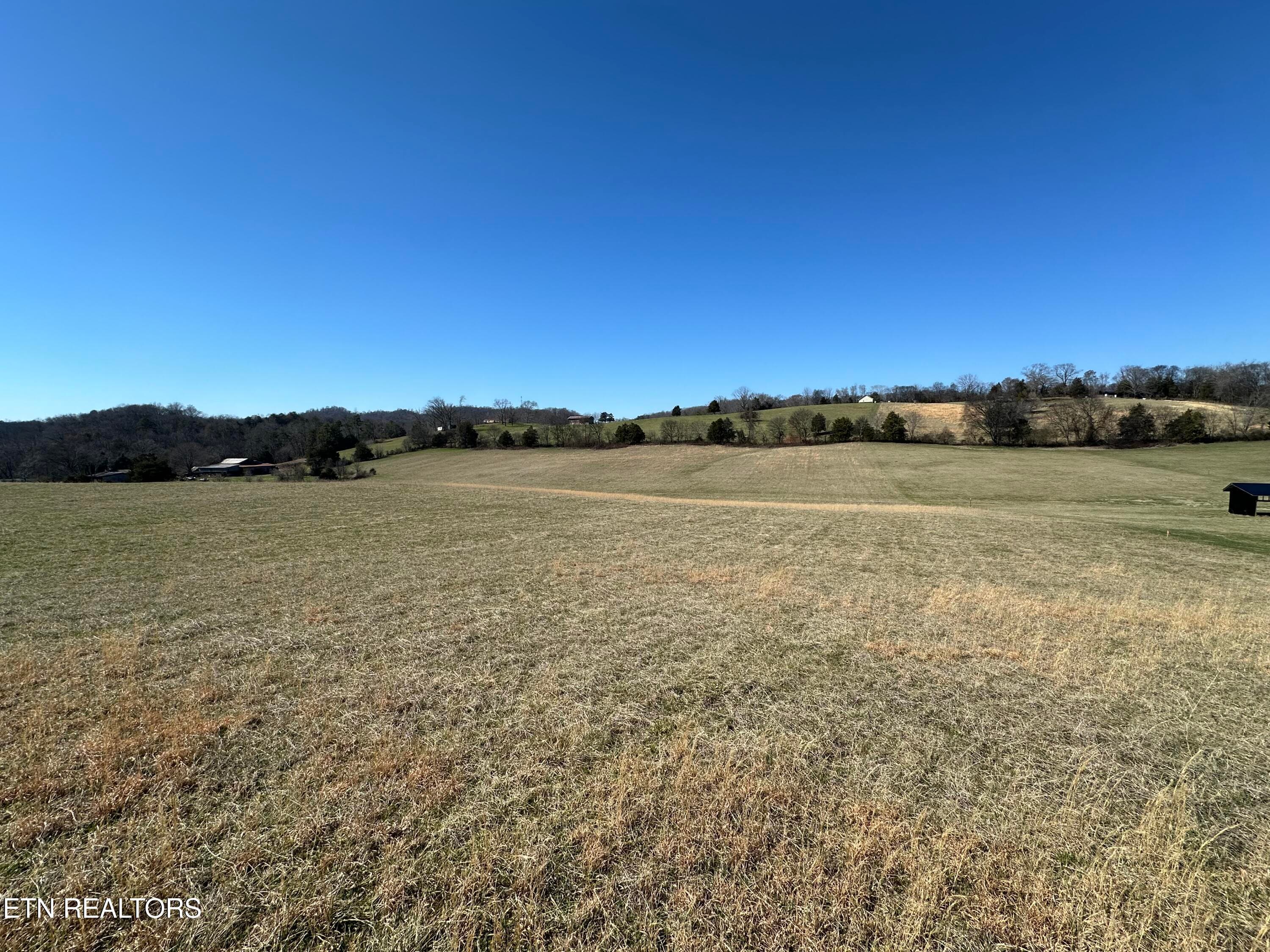 IMG_8920 - 271 Thompson Rd, Madisonville, TN 37354, Madisonville