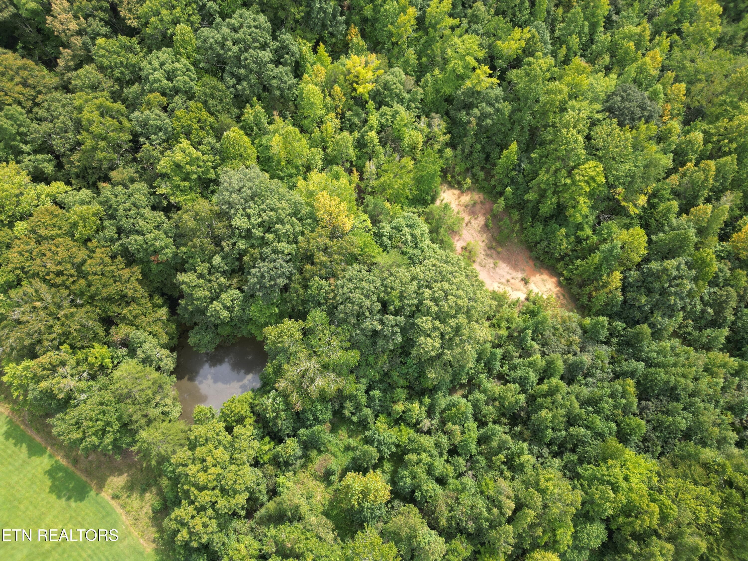 edwards Ln 3 - 406 Edwards Lane, Rockwood, TN 37854, Rockwood
