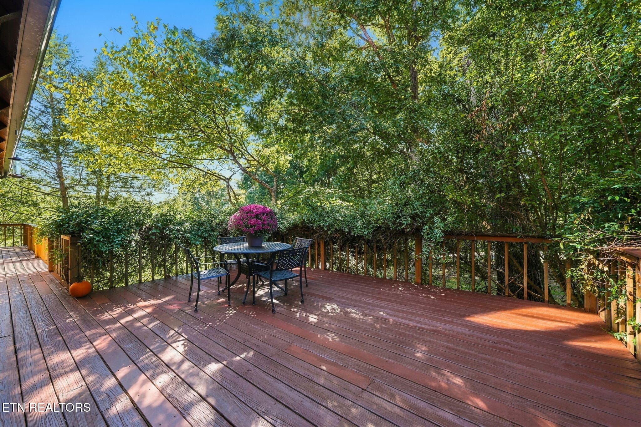 2-web-or-mls-040_DSC09343 - 500 Blackberry Ridge Rd, Lenoir City, TN 37772, Lenoir City