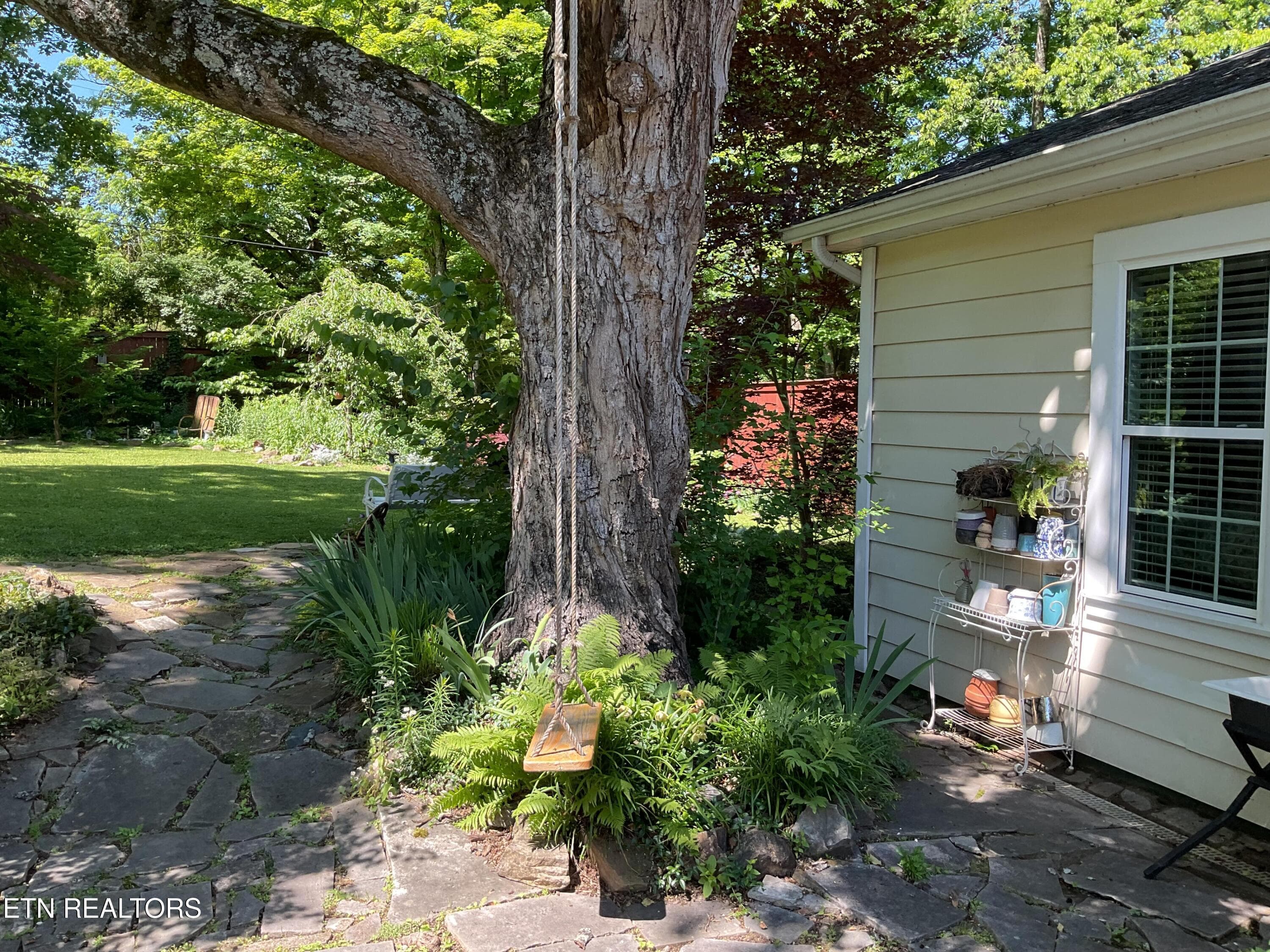 24_beyc6abf27b9e3ce5 - 6520 S Northshore Drive, Knoxville, TN 37919, Knoxville