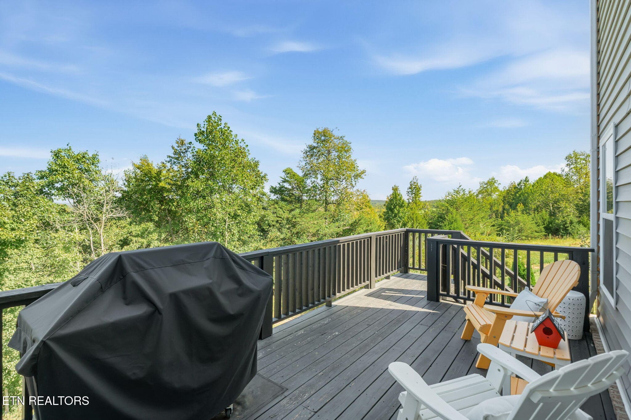 37-web-or-mls-128 Pineberry East-43 - 128 Pineberry East Rd, Oak Ridge, TN 37830, Oak Ridge