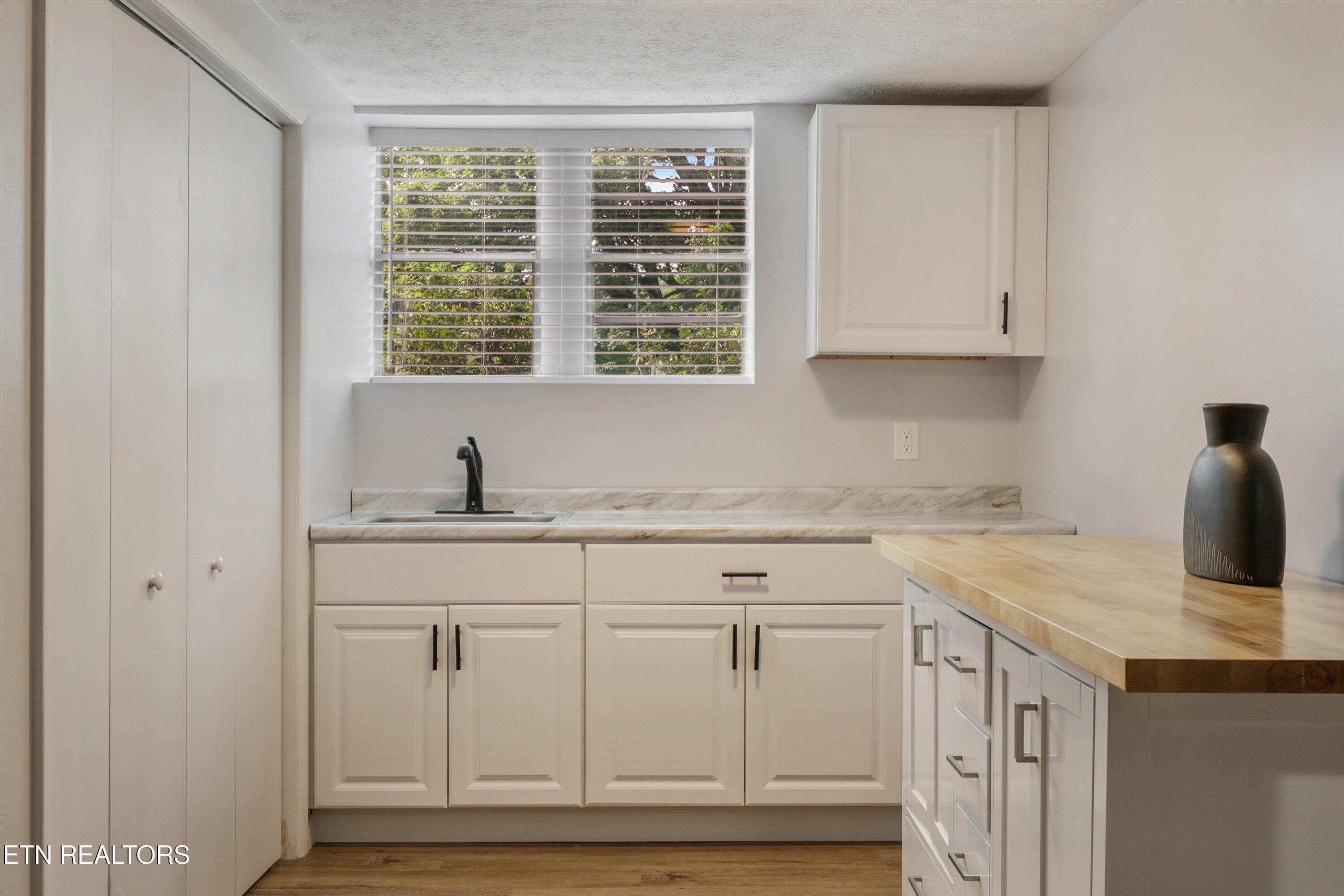 Basement Kitchen - 5524 Carter Rd, Knoxville, TN 37918, Knoxville