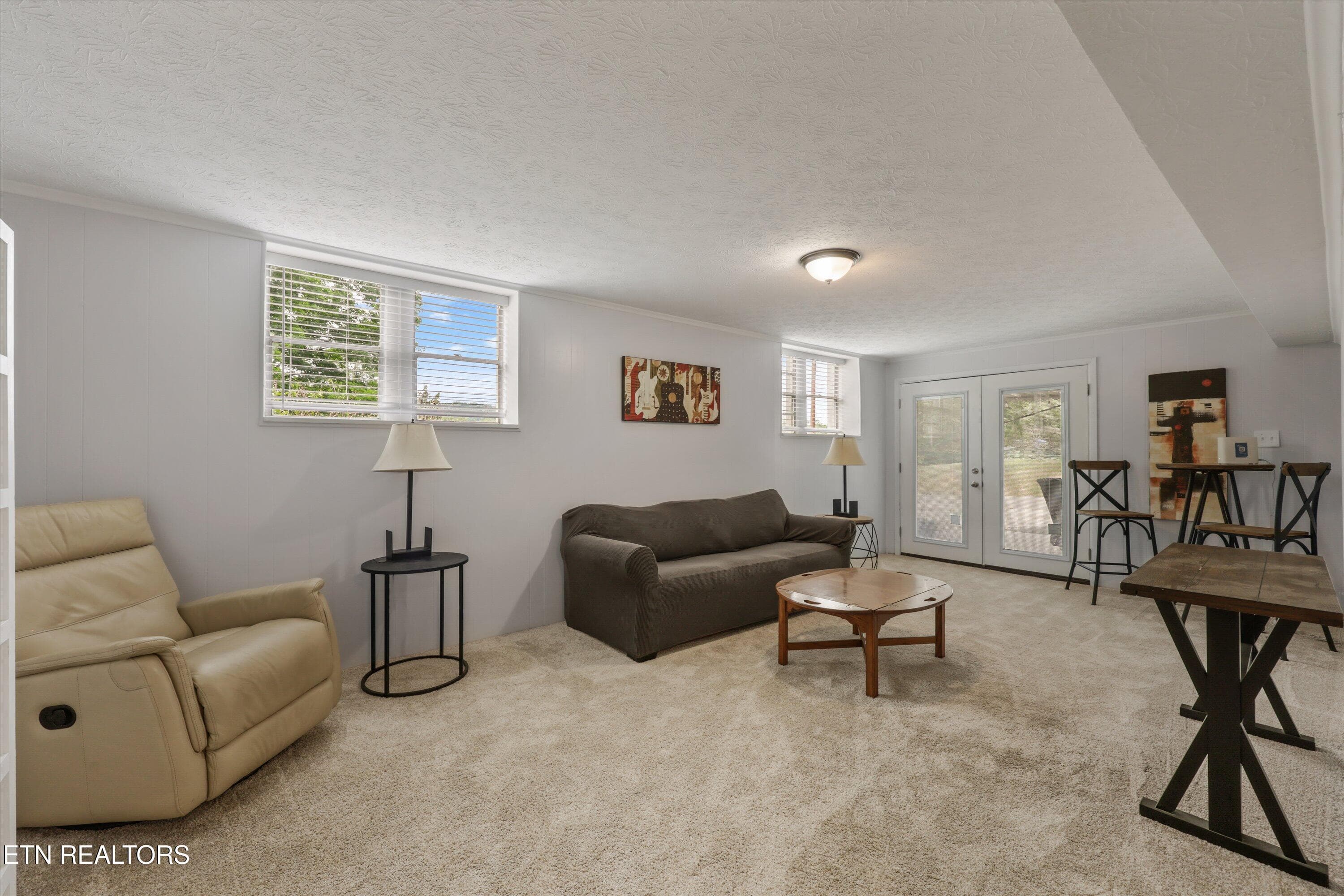 Basement Living Room - 5524 Carter Rd, Knoxville, TN 37918, Knoxville