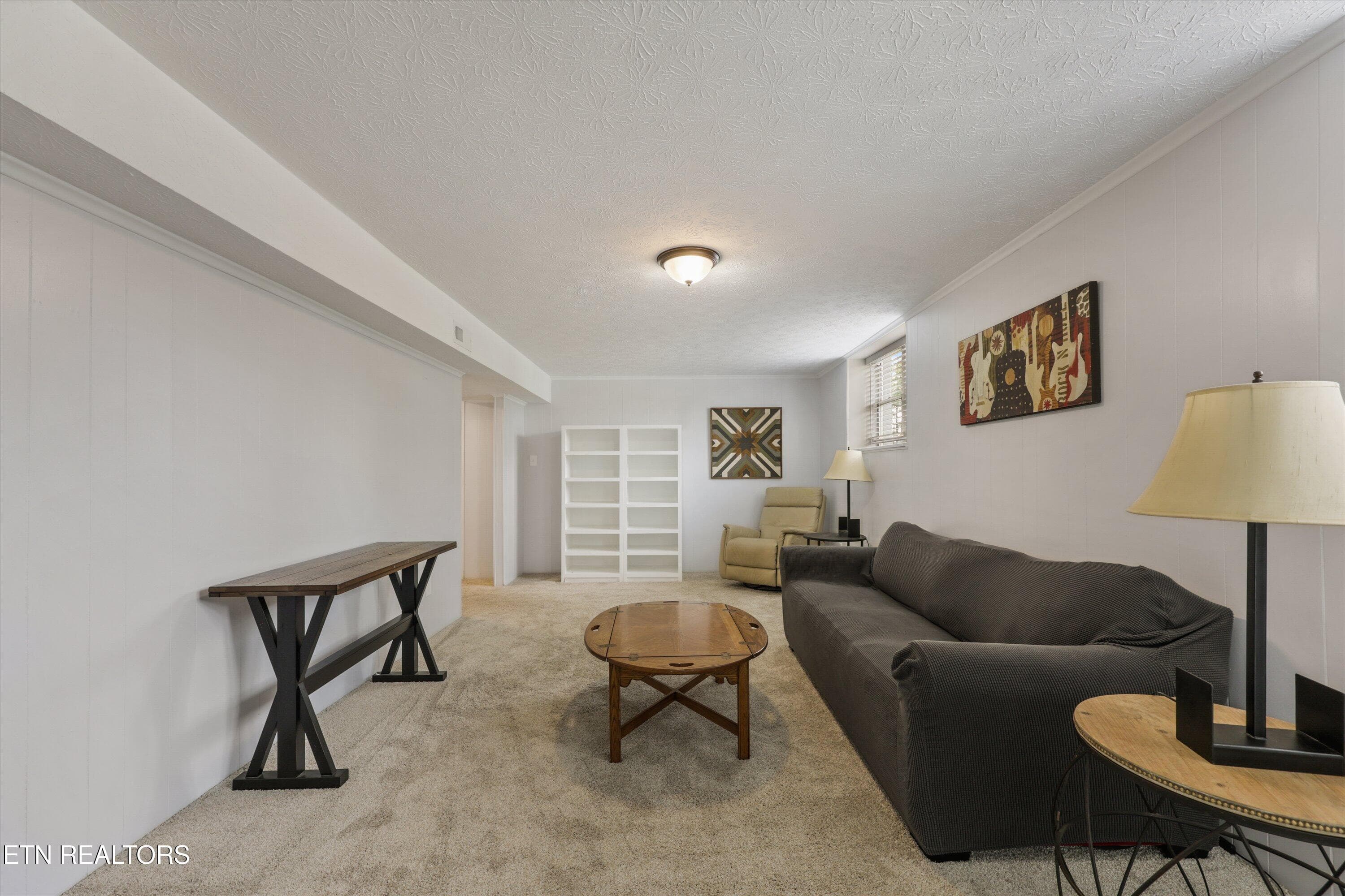 Basement Living Room - 5524 Carter Rd, Knoxville, TN 37918, Knoxville