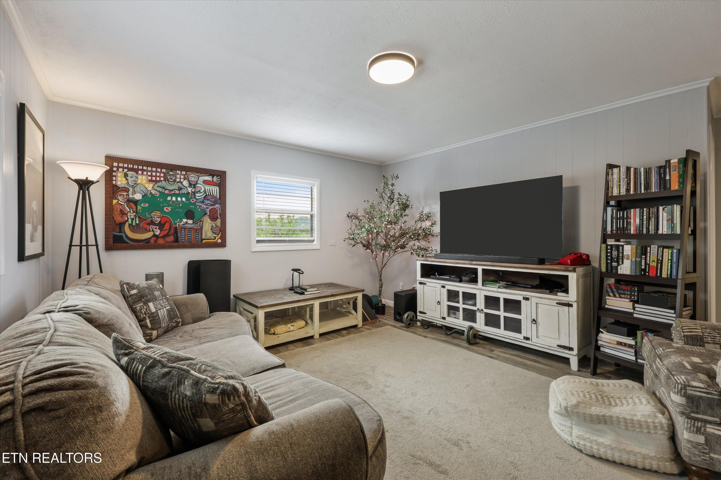 ADU Living Room - 5524 Carter Rd, Knoxville, TN 37918, Knoxville