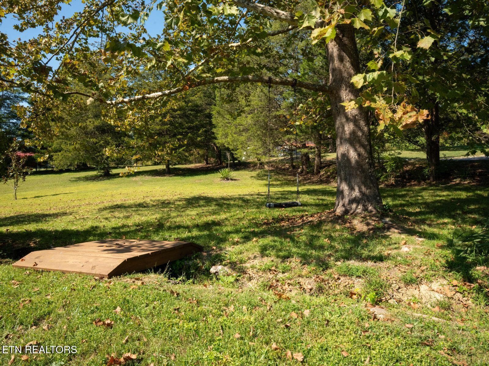 20 - 9526 Smoky Row Rd, Strawberry Plains, TN 37871, Strawberry Plains