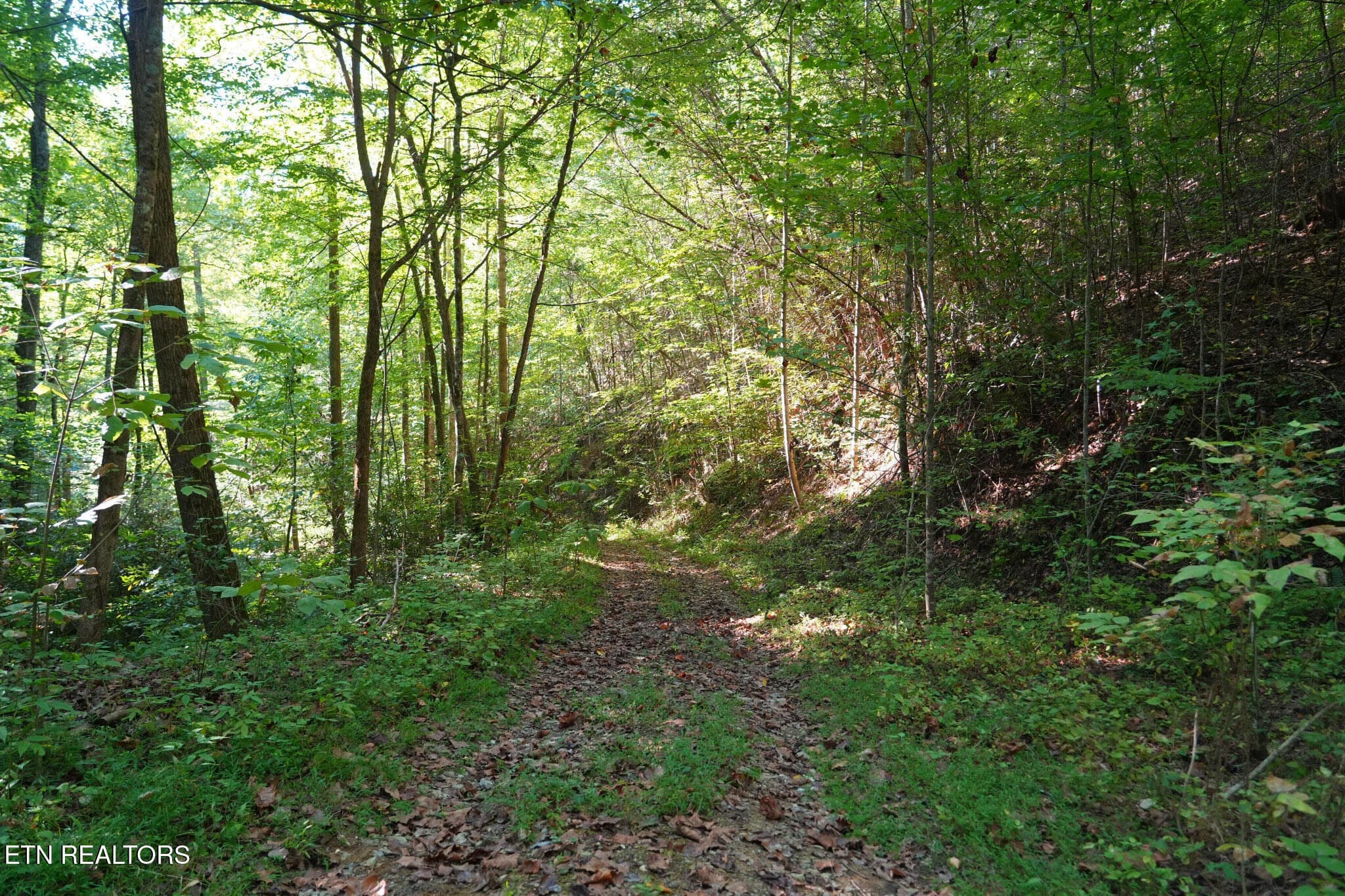 FlexMLS_Resized_Wooded_Path - 3738 Oliver Way, Sevierville, TN 37876, Sevierville