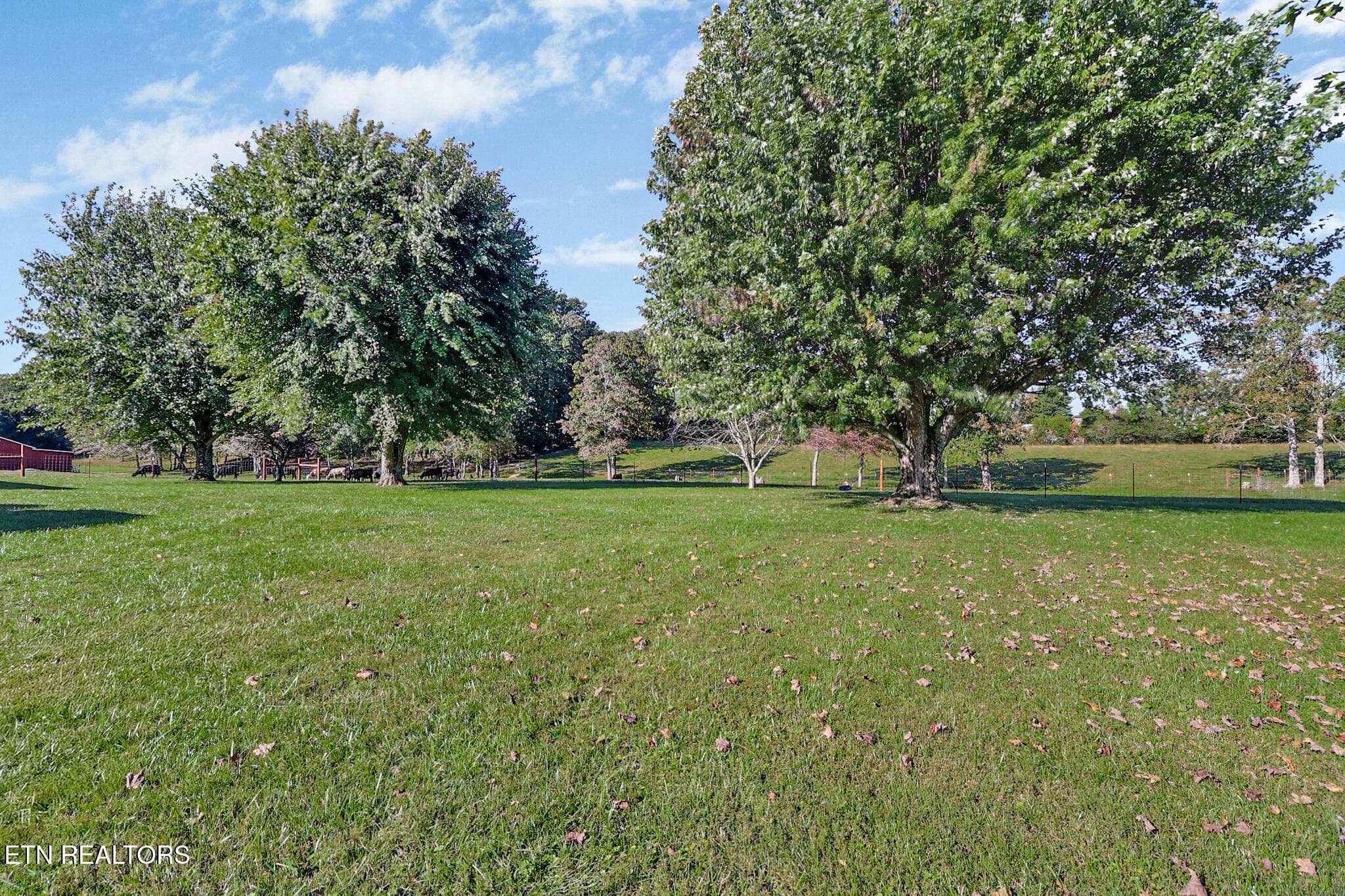 n44a1553-n44a1557 - 268 Obed River Rd, Crossville, TN 38555, Crossville