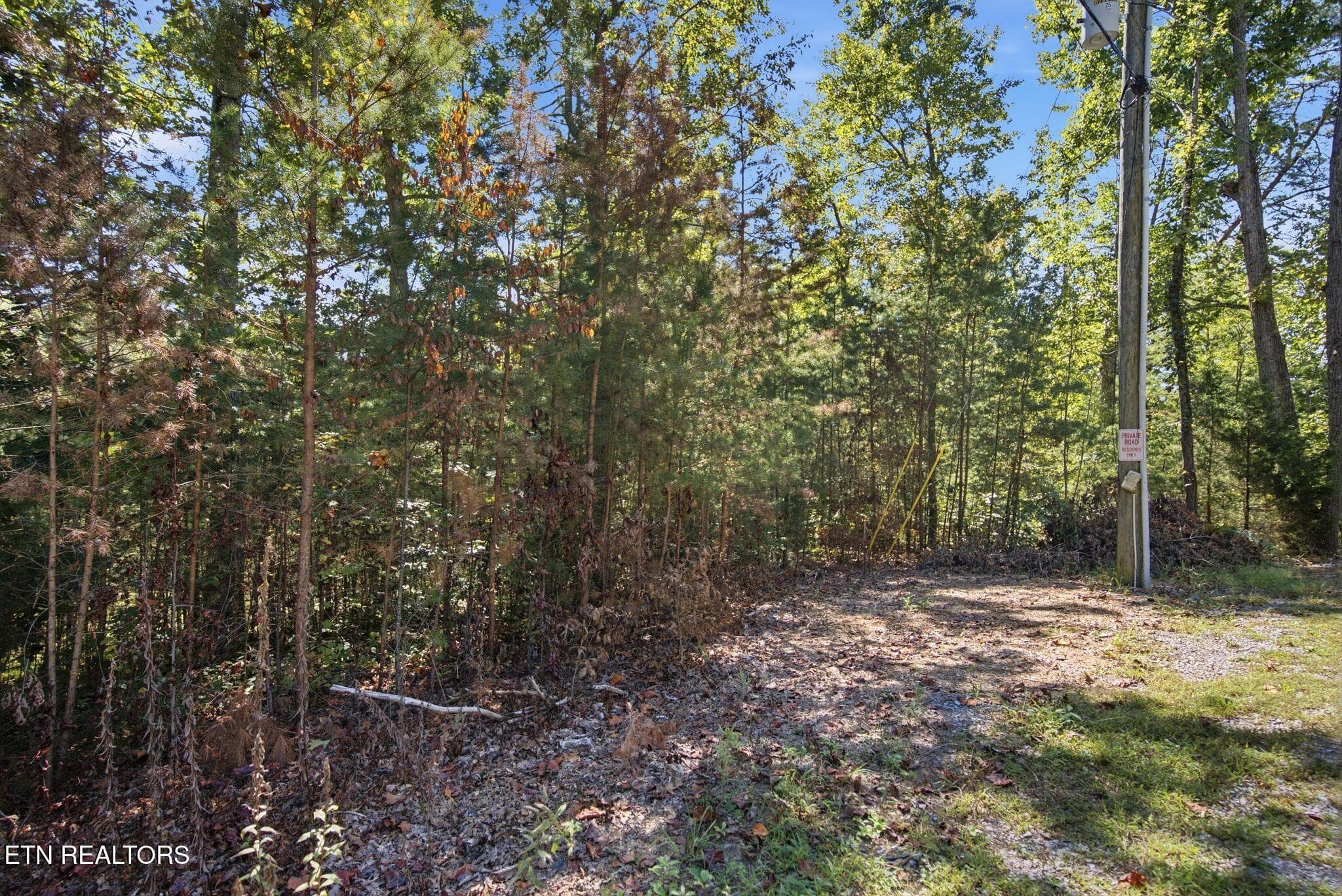 5_006_DSC01139 - 19 Roy Lee Way, Seymour, TN 37865, Seymour