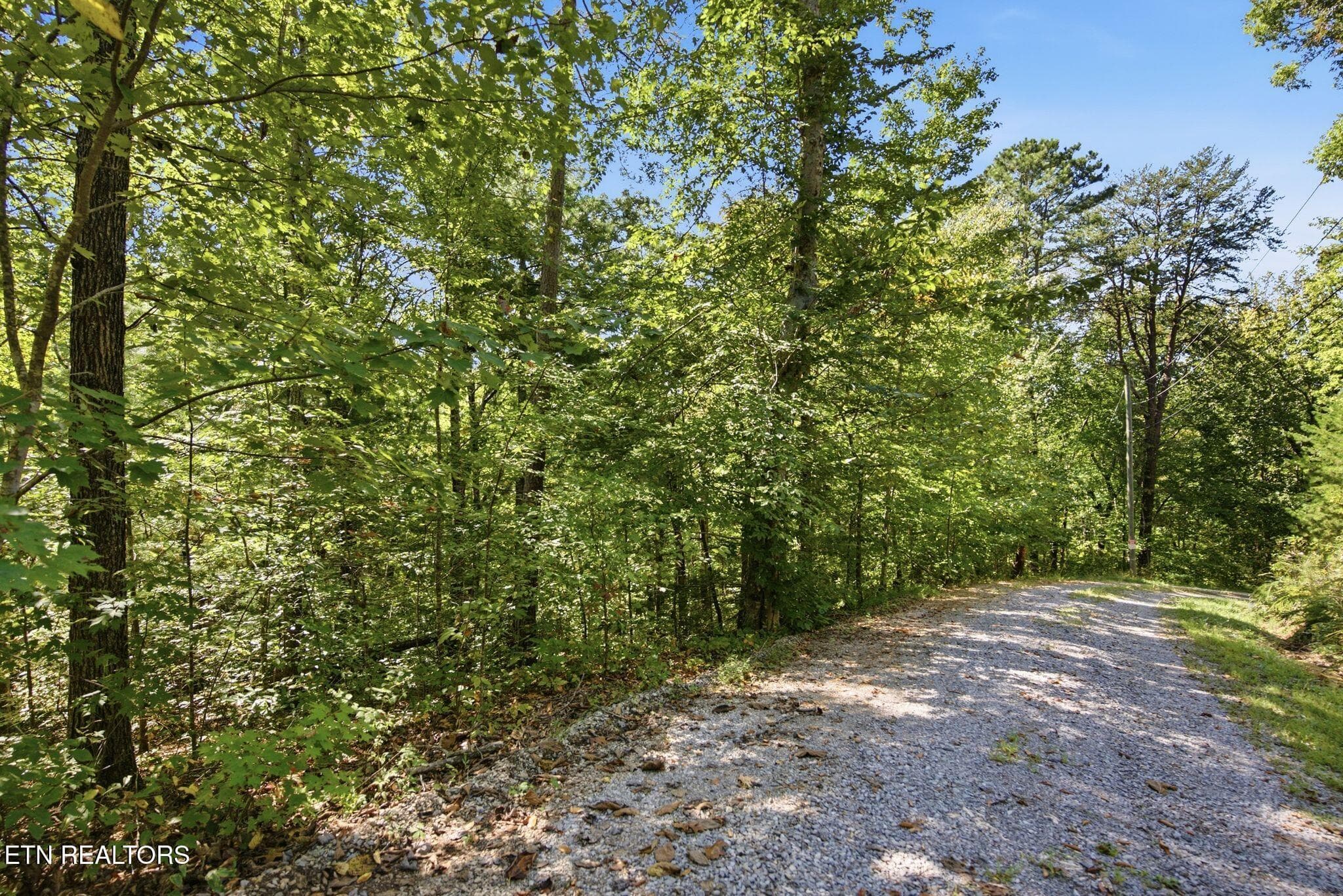 7_008_DSC01145 - 19 Roy Lee Way, Seymour, TN 37865, Seymour