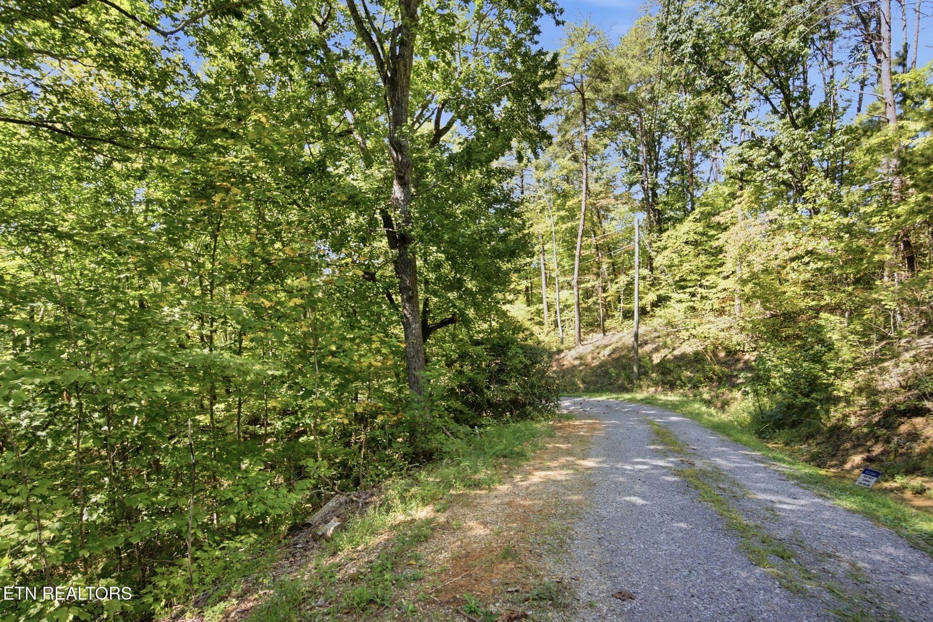8_009_DSC01154 - 19 Roy Lee Way, Seymour, TN 37865