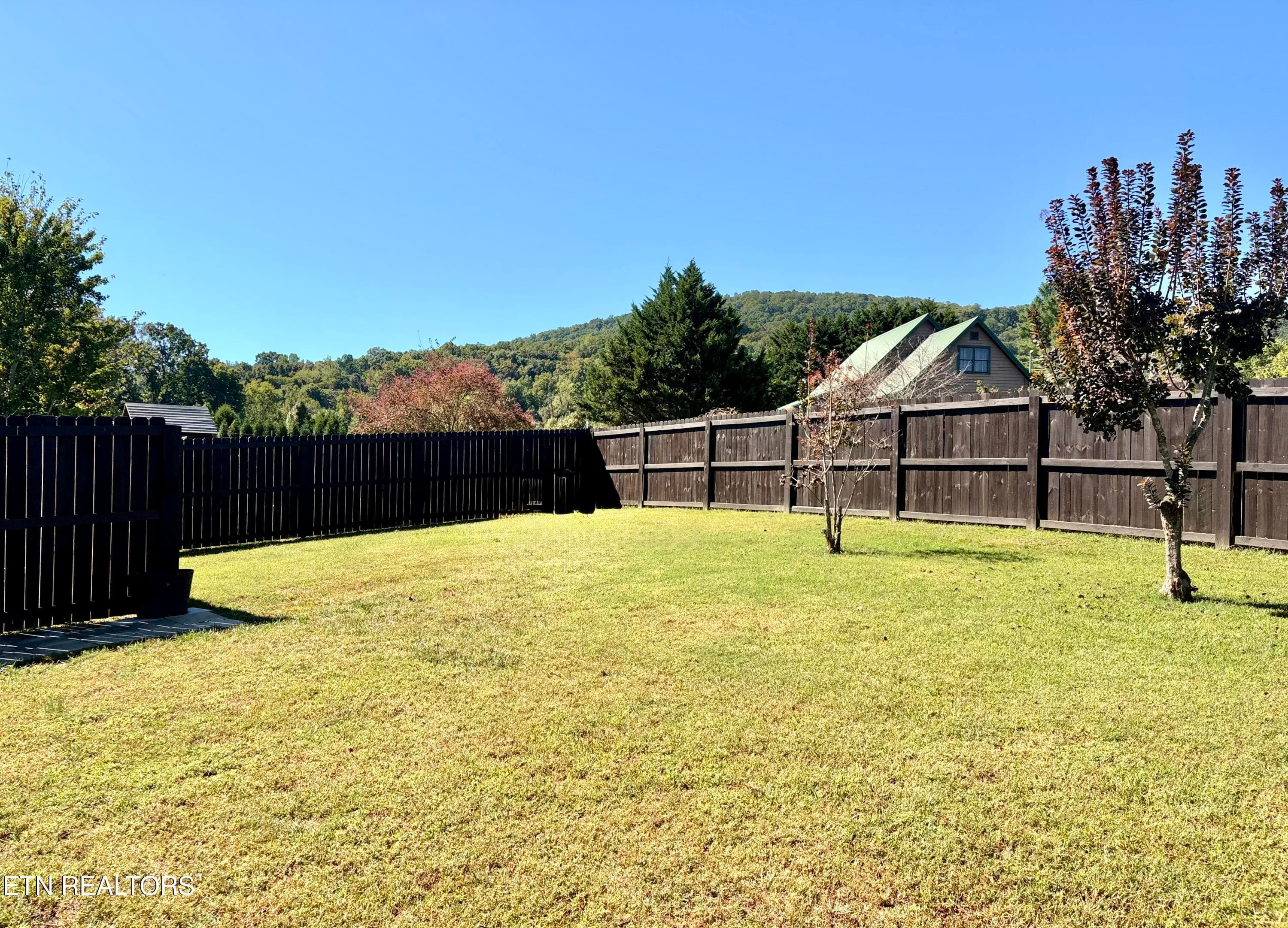 IMG_2537 - 3610 Audrey Jo Lane, Sevierville, TN 37876, Sevierville