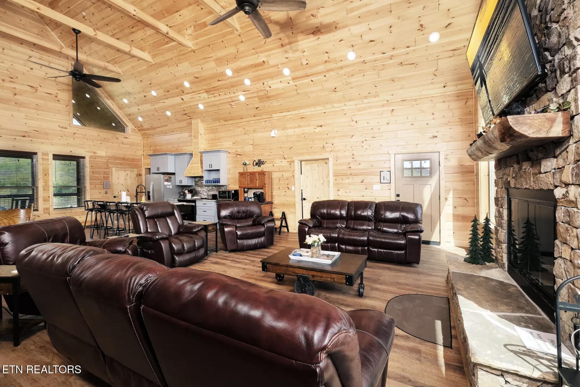 Living room - 3453 Cove Meadows Drive, Sevierville, TN 37862, Sevierville