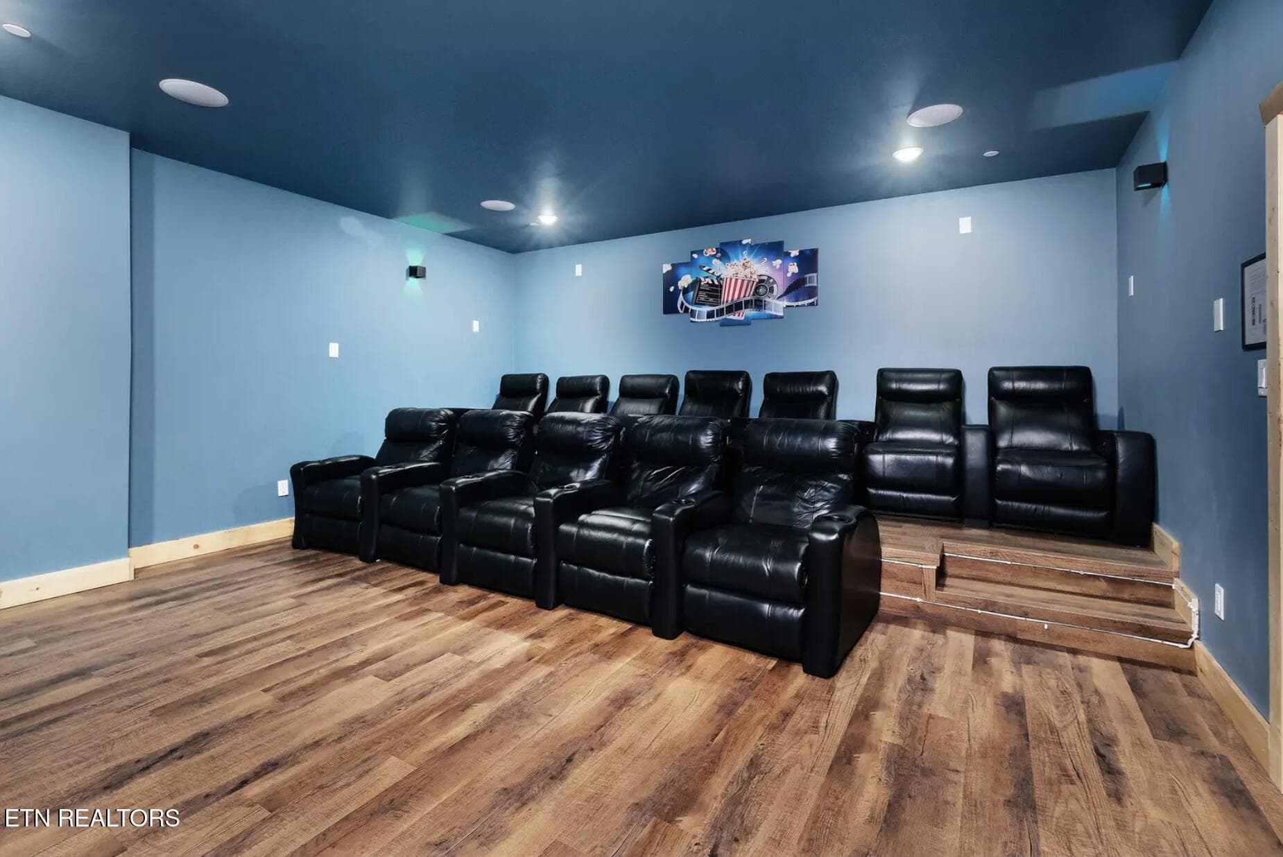 Theater room - 3453 Cove Meadows Drive, Sevierville, TN 37862, Sevierville