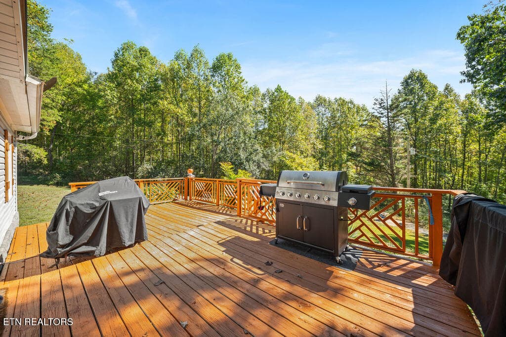 front deck 2 - 257 Old Andersonville Pike, Heiskell, TN 37754, Heiskell