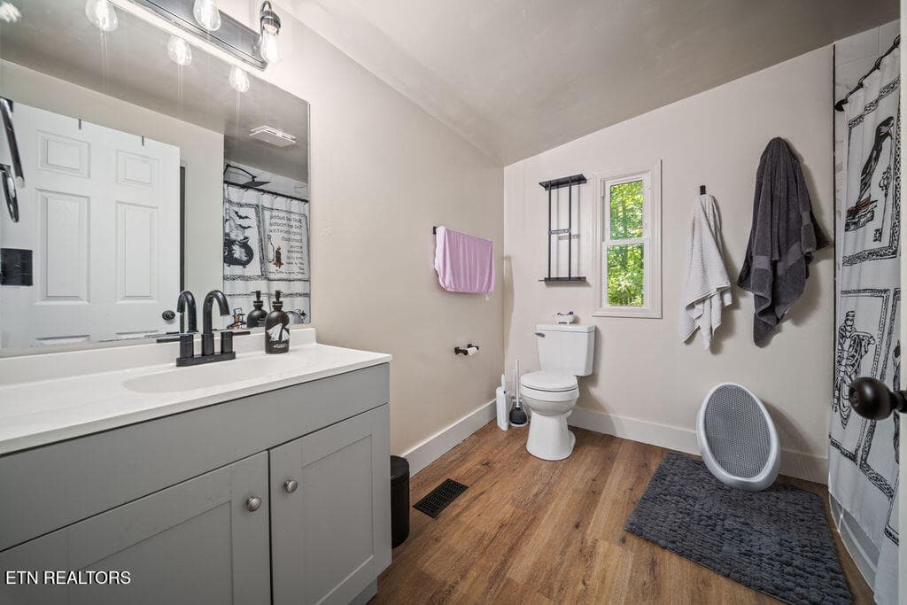 primary bath - 257 Old Andersonville Pike, Heiskell, TN 37754, Heiskell