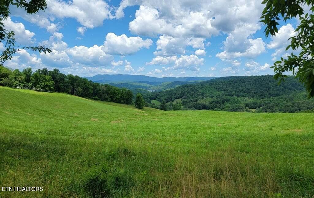 imagejpeg_1 - 420 Walker Rd, Sharps Chapel, TN 37866, Sharps Chapel