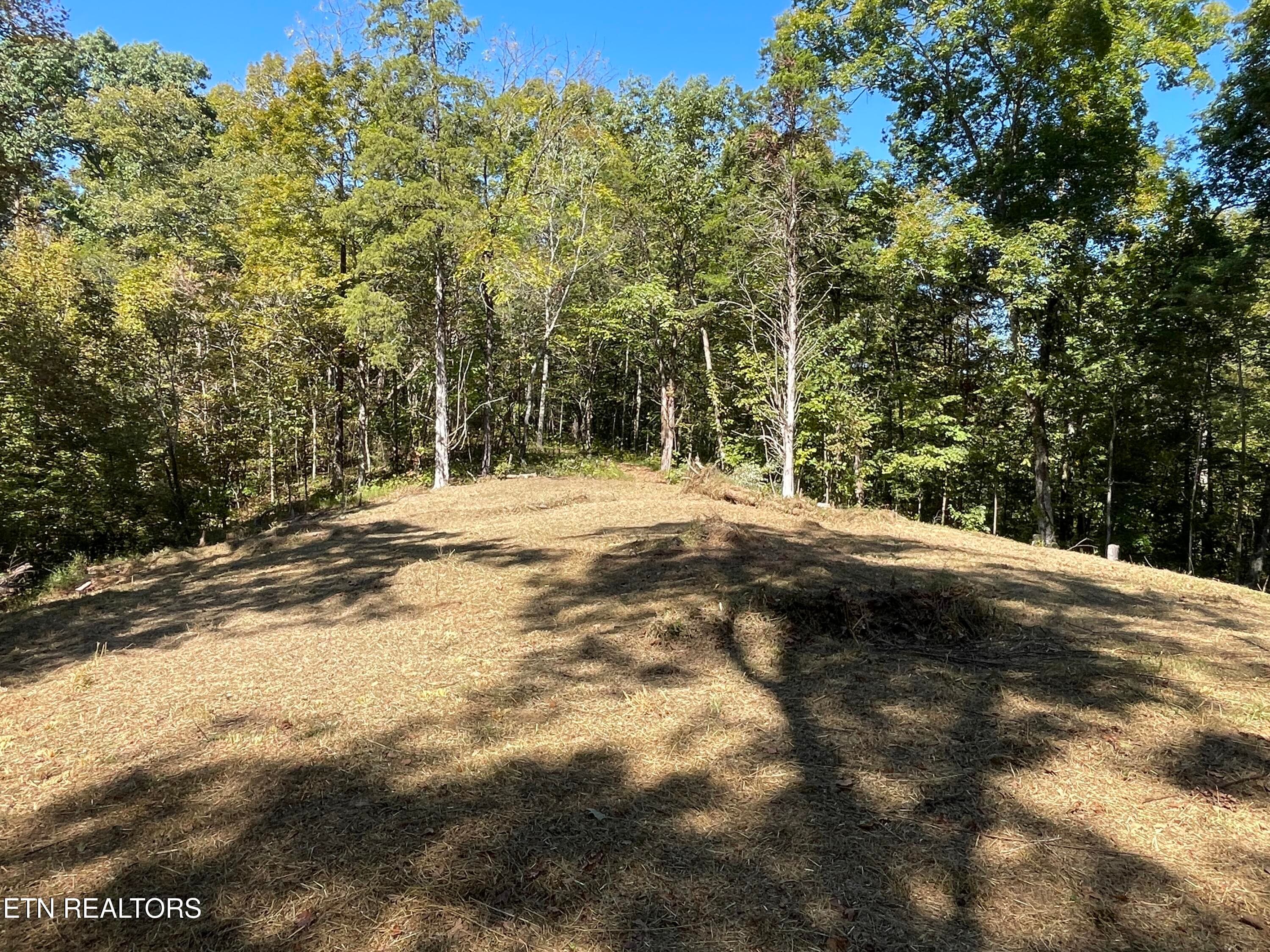 Open Space Among the Trees - 136 Denton Rd, Madisonville, TN 37354, Madisonville
