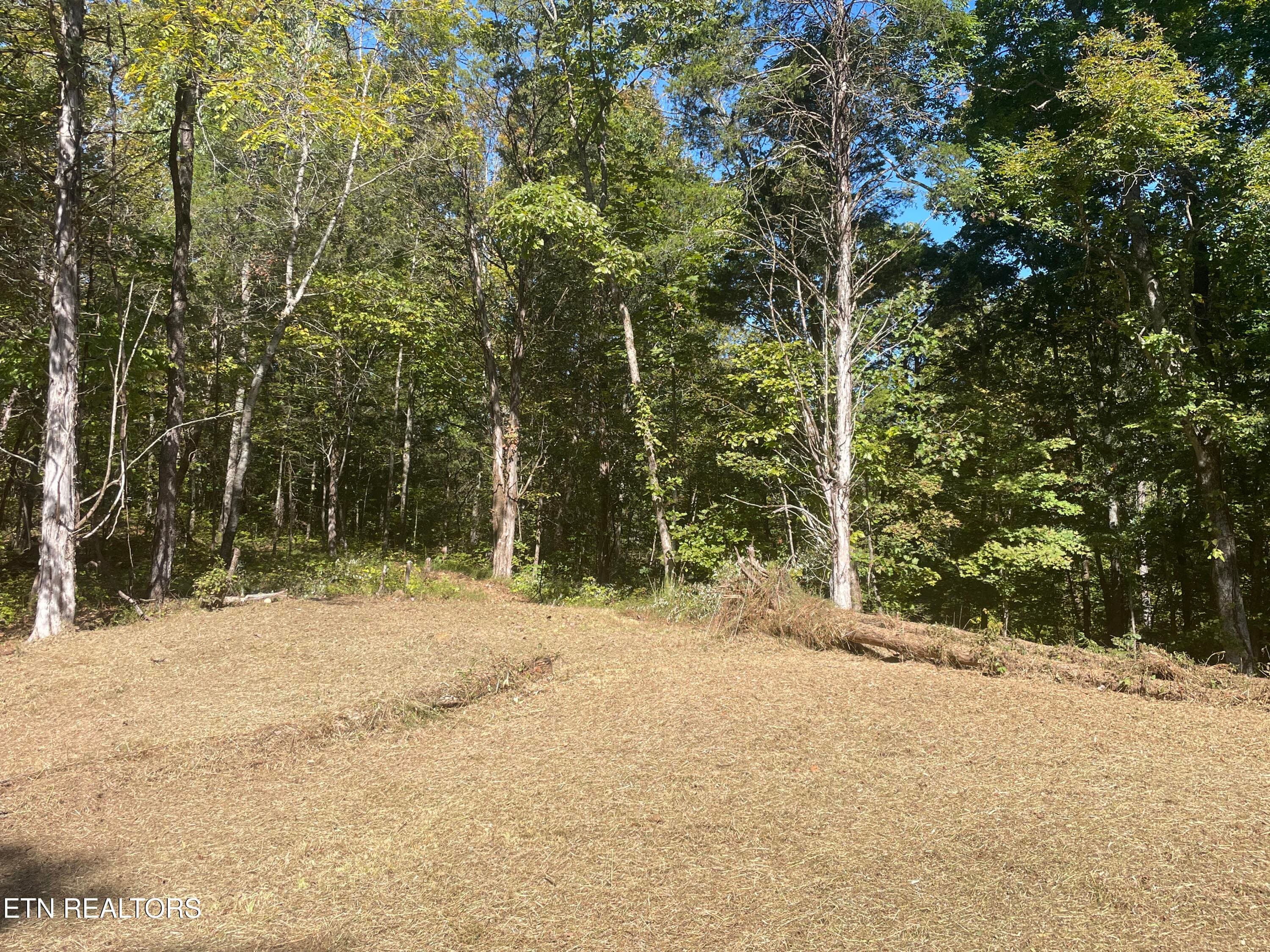 Rolling East Tennessee Terrain - 136 Denton Rd, Madisonville, TN 37354, Madisonville