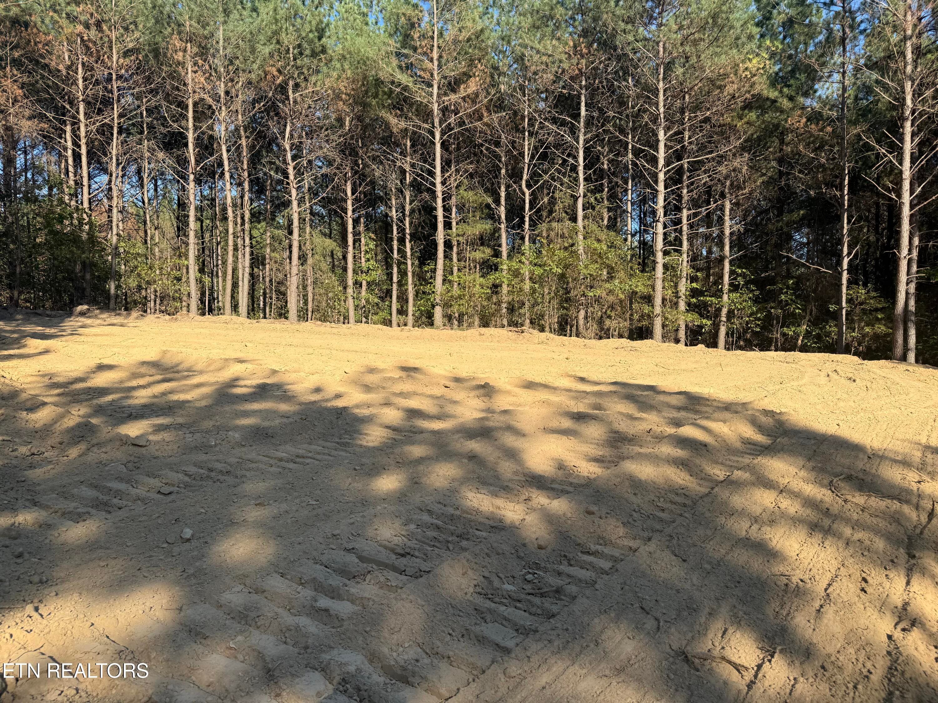 IMG_6138 - Freedom Ridge Lane, Crossville, TN 38572, Crossville