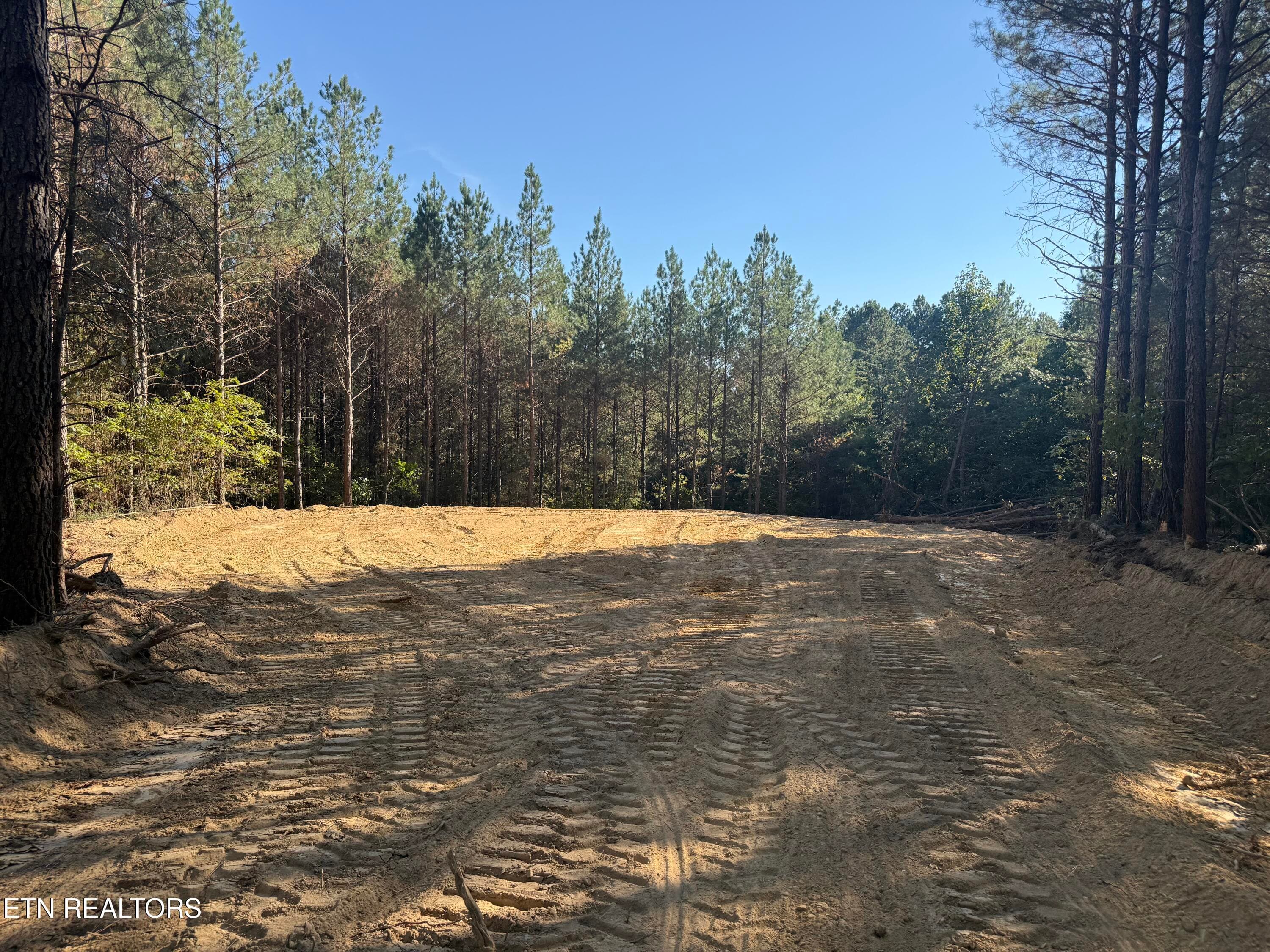 IMG_6136 - Freedom Ridge Lane, Crossville, TN 38572, Crossville