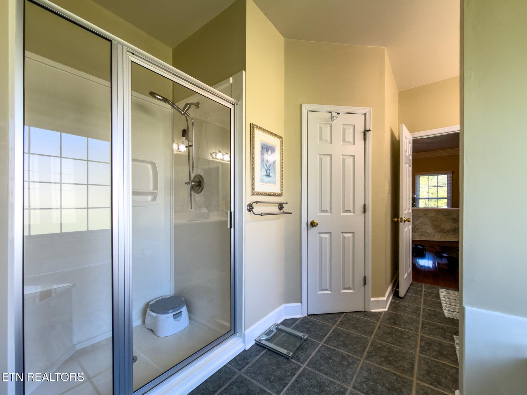 Primary BAthroom - 2451 Parris Drive, Lenoir City, TN 37772, Lenoir City