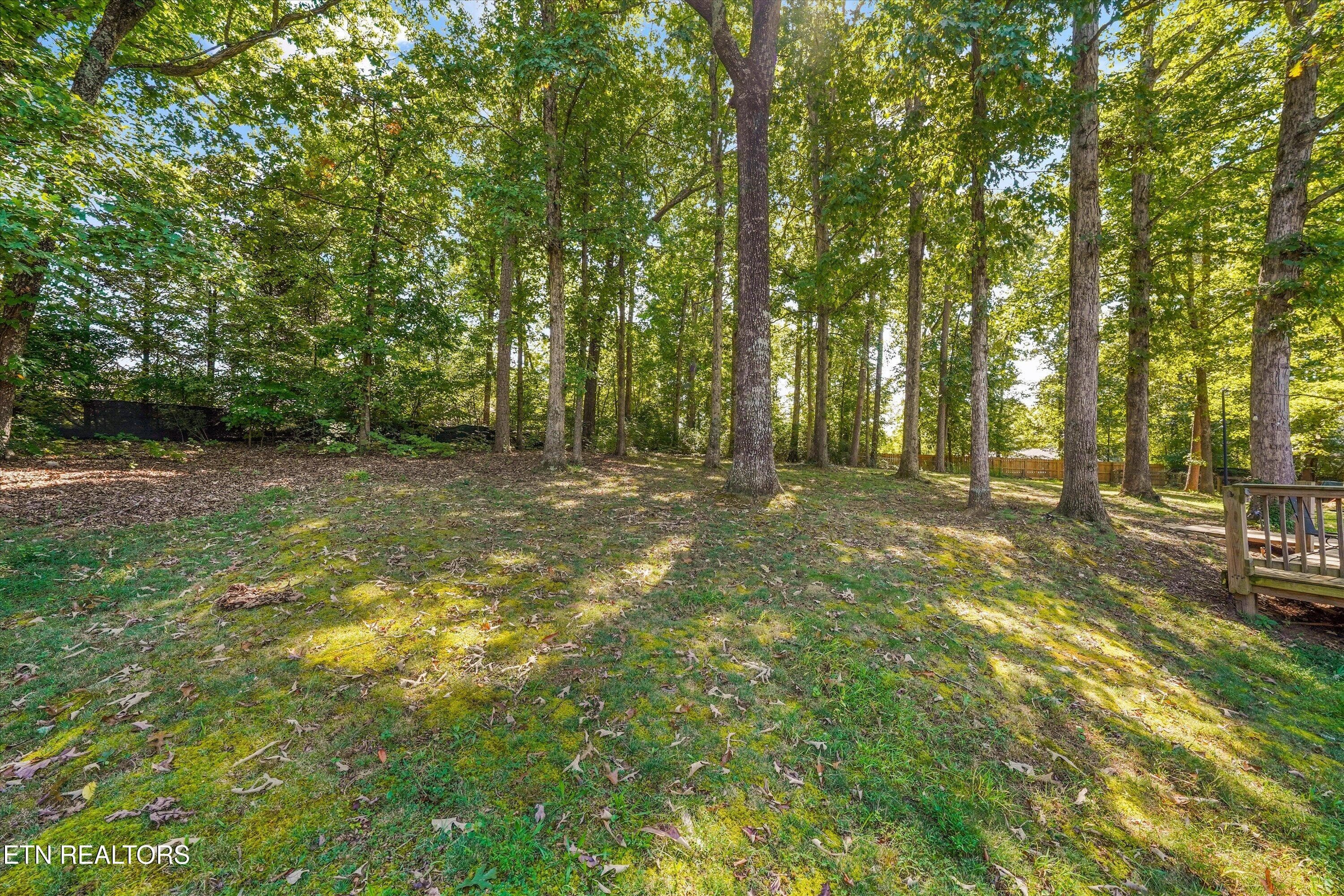 45-8804 Mallow Dr 39 - 8804 Mallow Drive, Knoxville, TN 37922, Knoxville