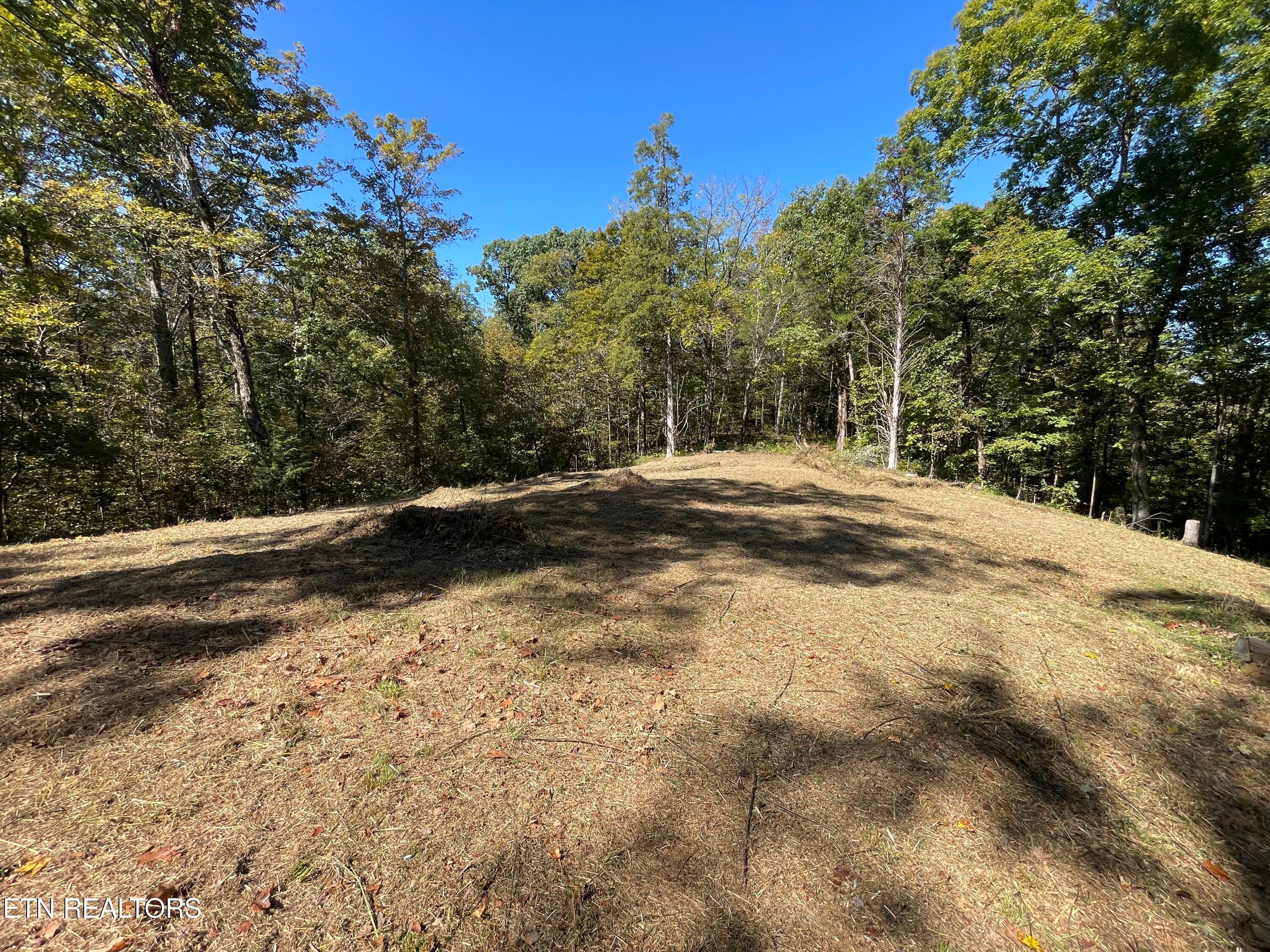 Wooded Land & Open Space in Madisonville - 136 Denton Rd, Madisonville, TN 37354, Madisonville