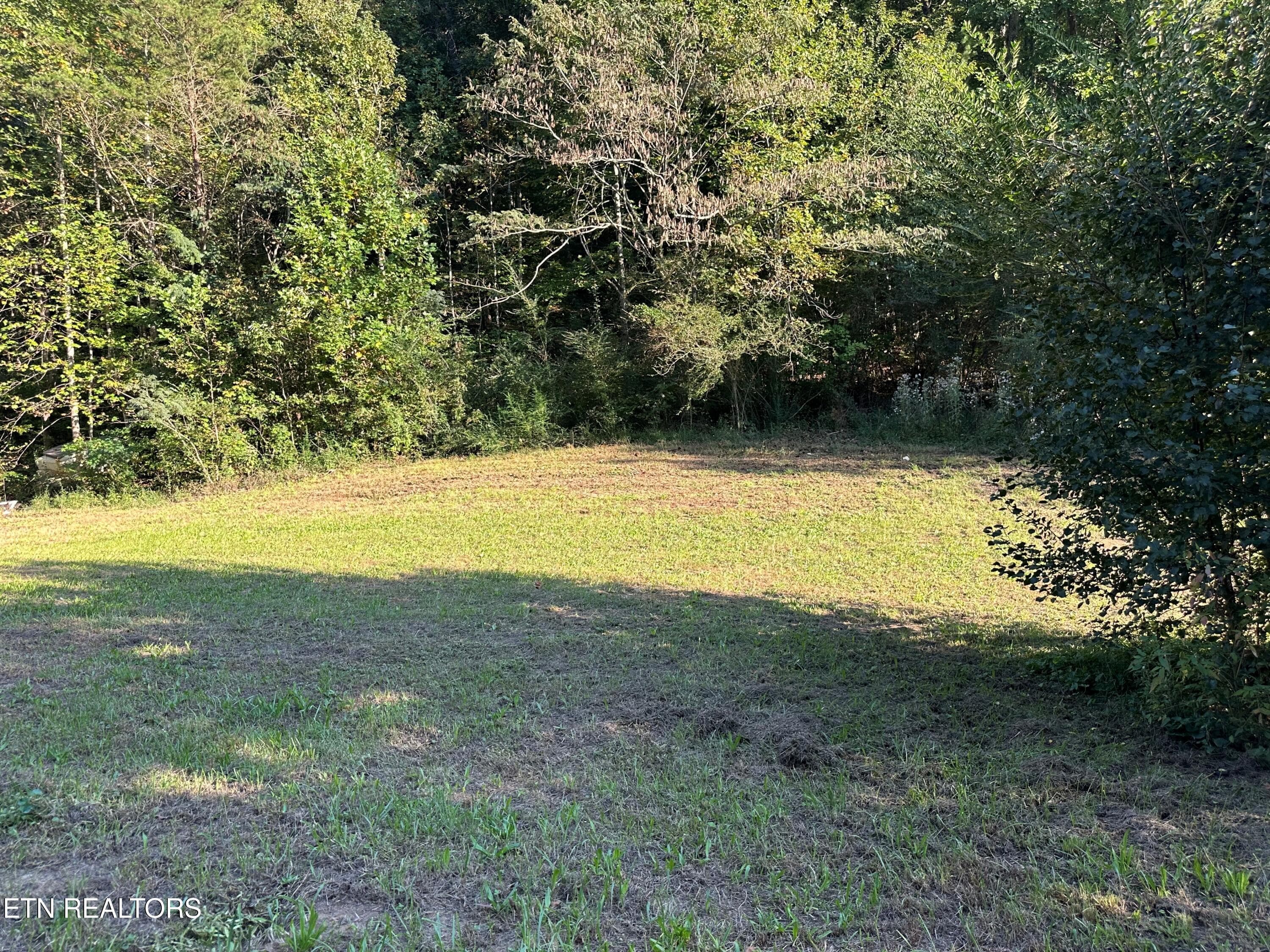 Picture #3 - 9107 Pickens Gap Rd, Knoxville, TN 37920, Knoxville