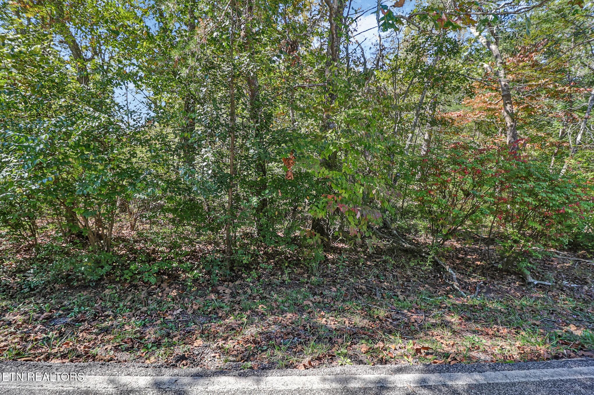 n44a2993-n44a2997 - 201 Meadowview Drive, Crossville, TN 38558, Crossville