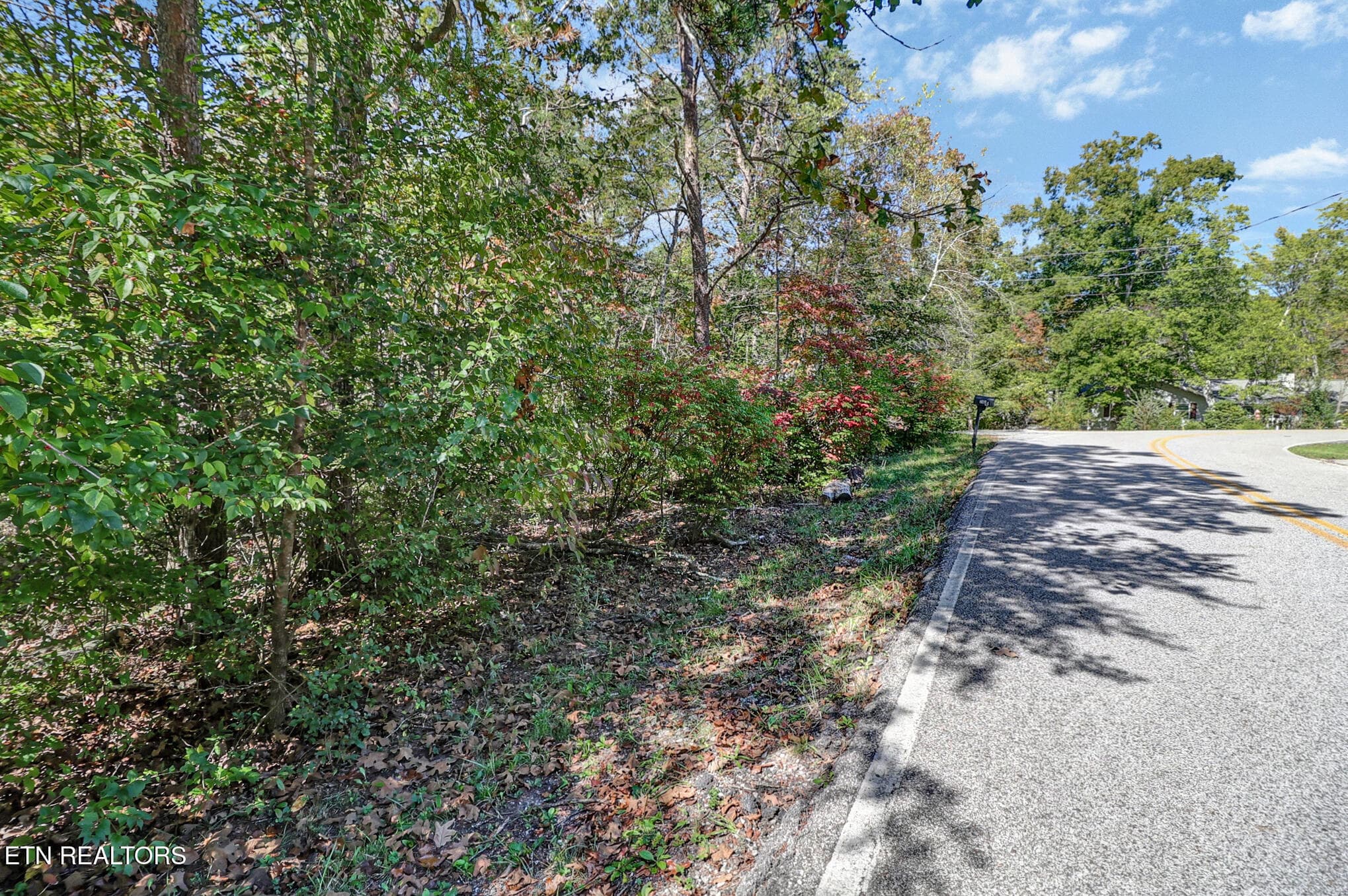 n44a3003-n44a3007 - 201 Meadowview Drive, Crossville, TN 38558, Crossville