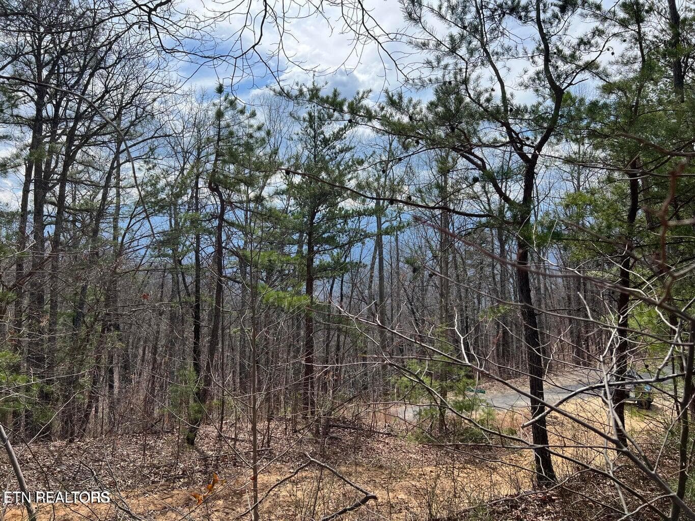 cc9 - Chestnut Ridge Court, Sevierville, TN 37876, Sevierville